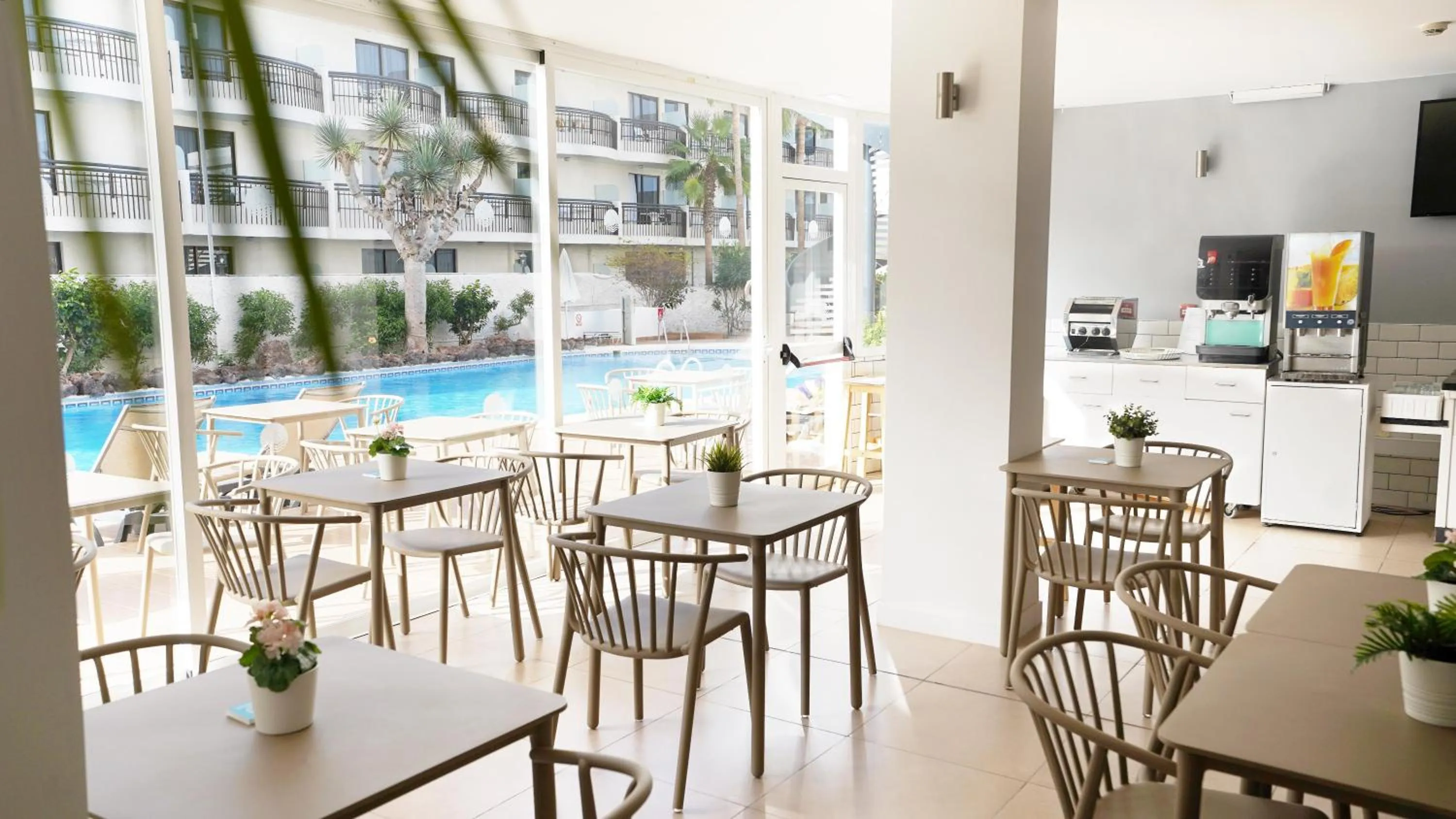 Lounge or bar in Coral California - Adults Only