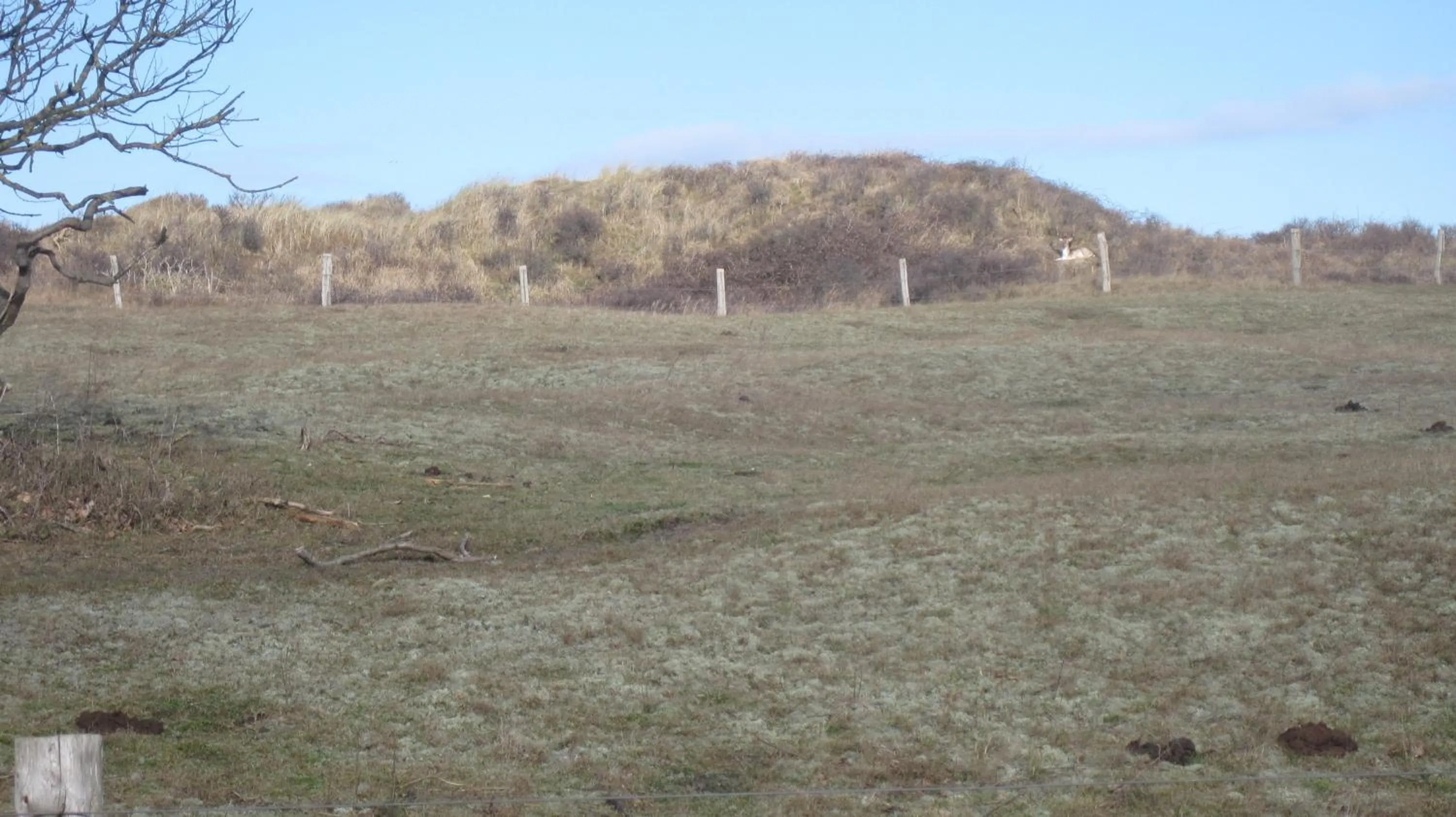 Natural landscape in Hotel Restaurant Anno Nu