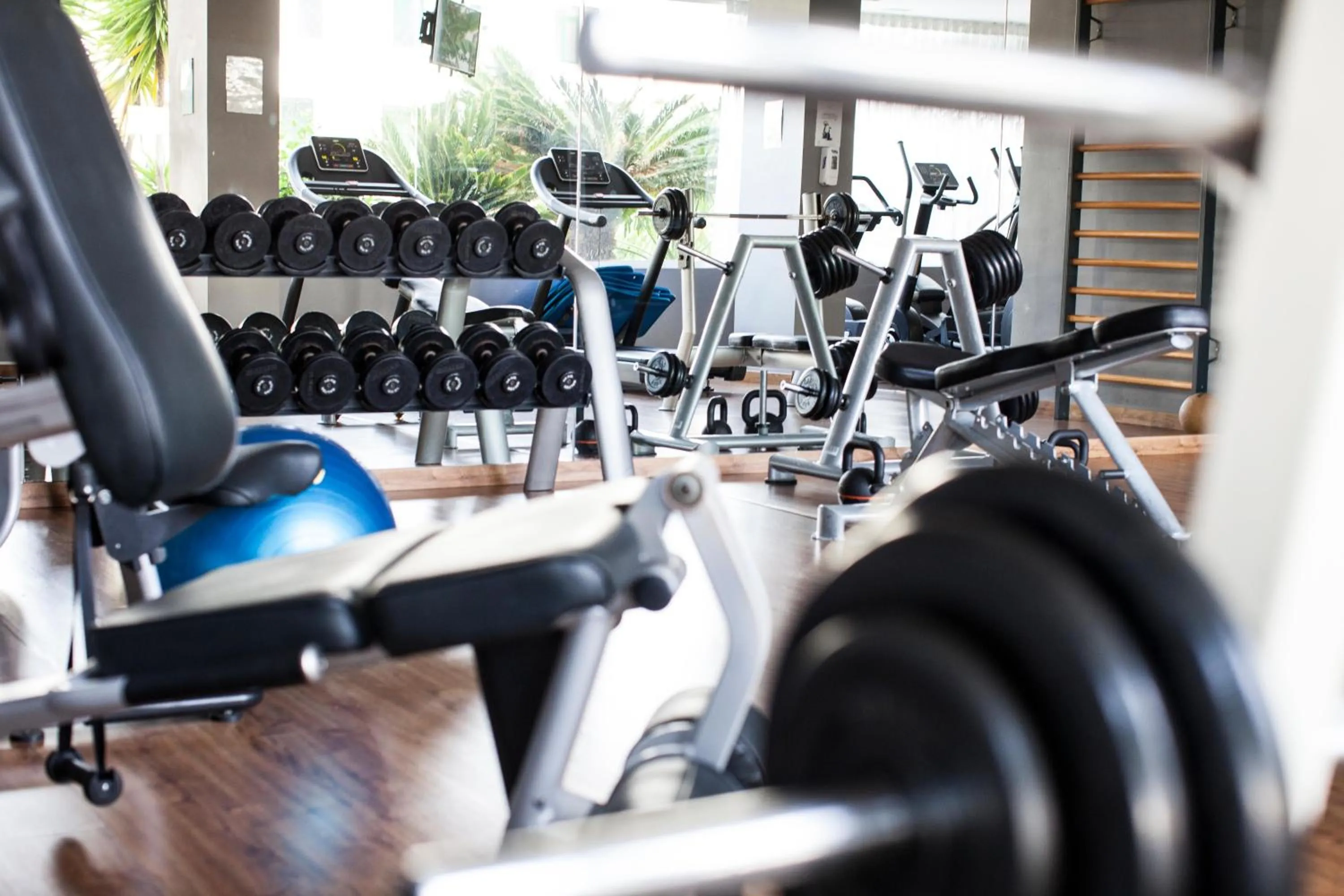 Activities in Coral Suites & Spa - Adults Only