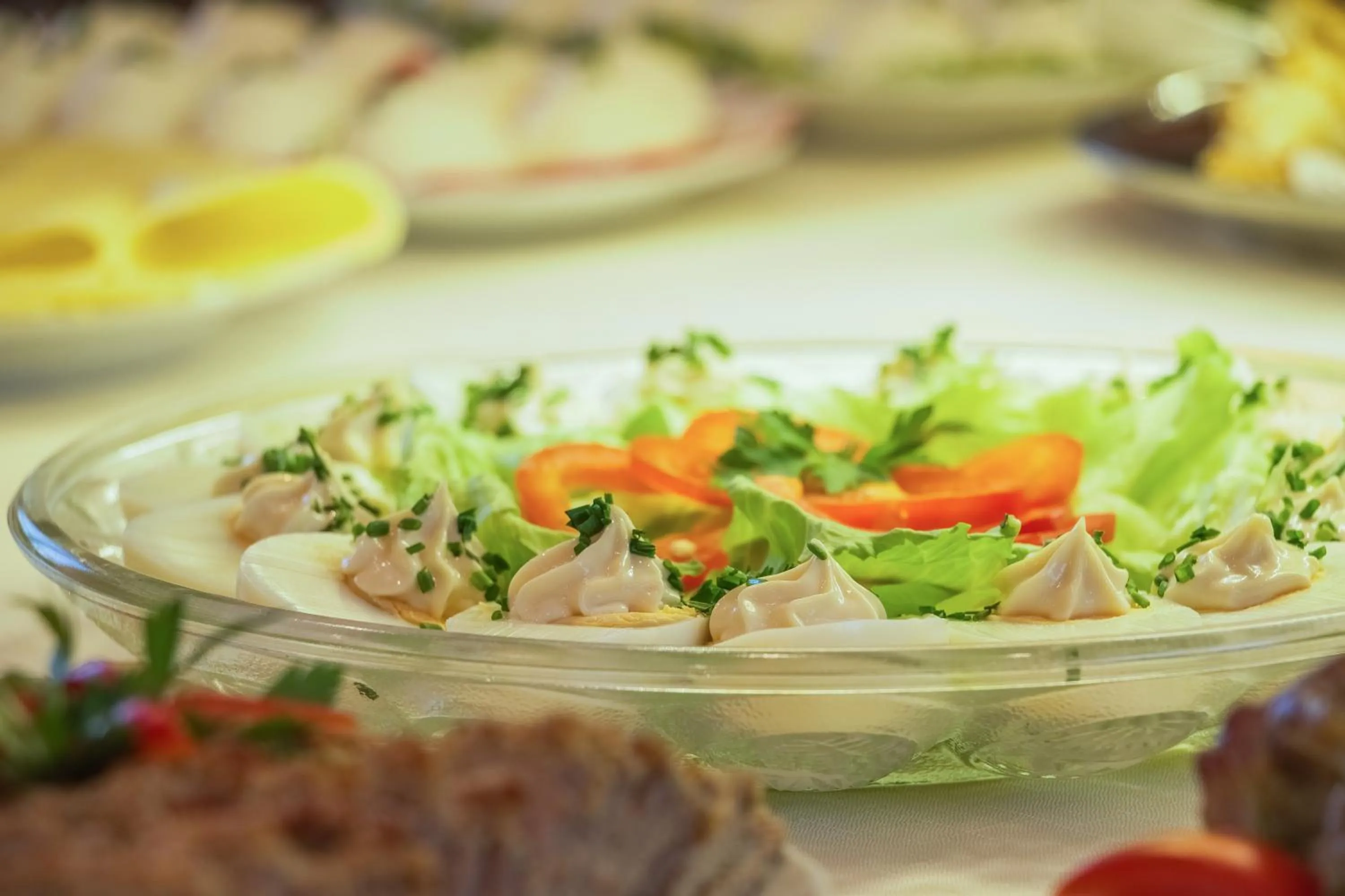 Food and drinks in Dom Wypoczynkowy u Staszla