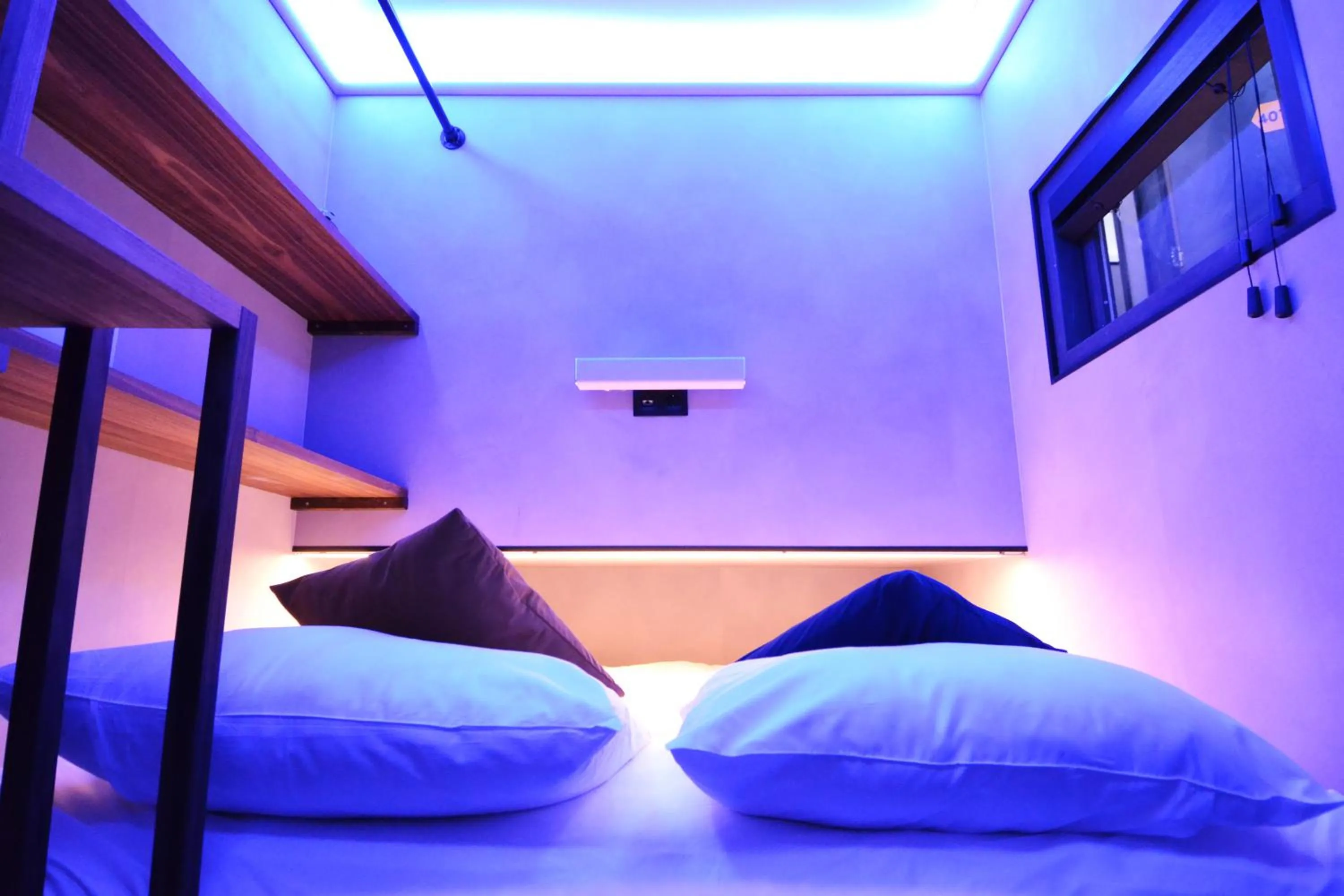 Bed in The Hyve Capsule hostel Amsterdam