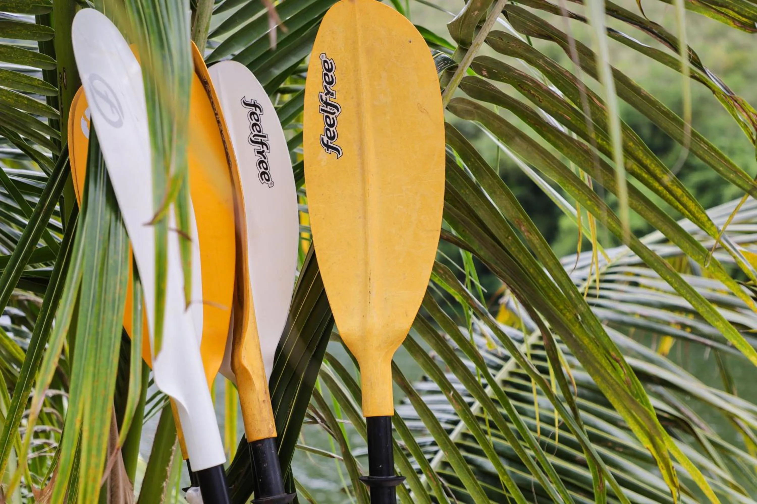 Activities in Tiger House River Kwai