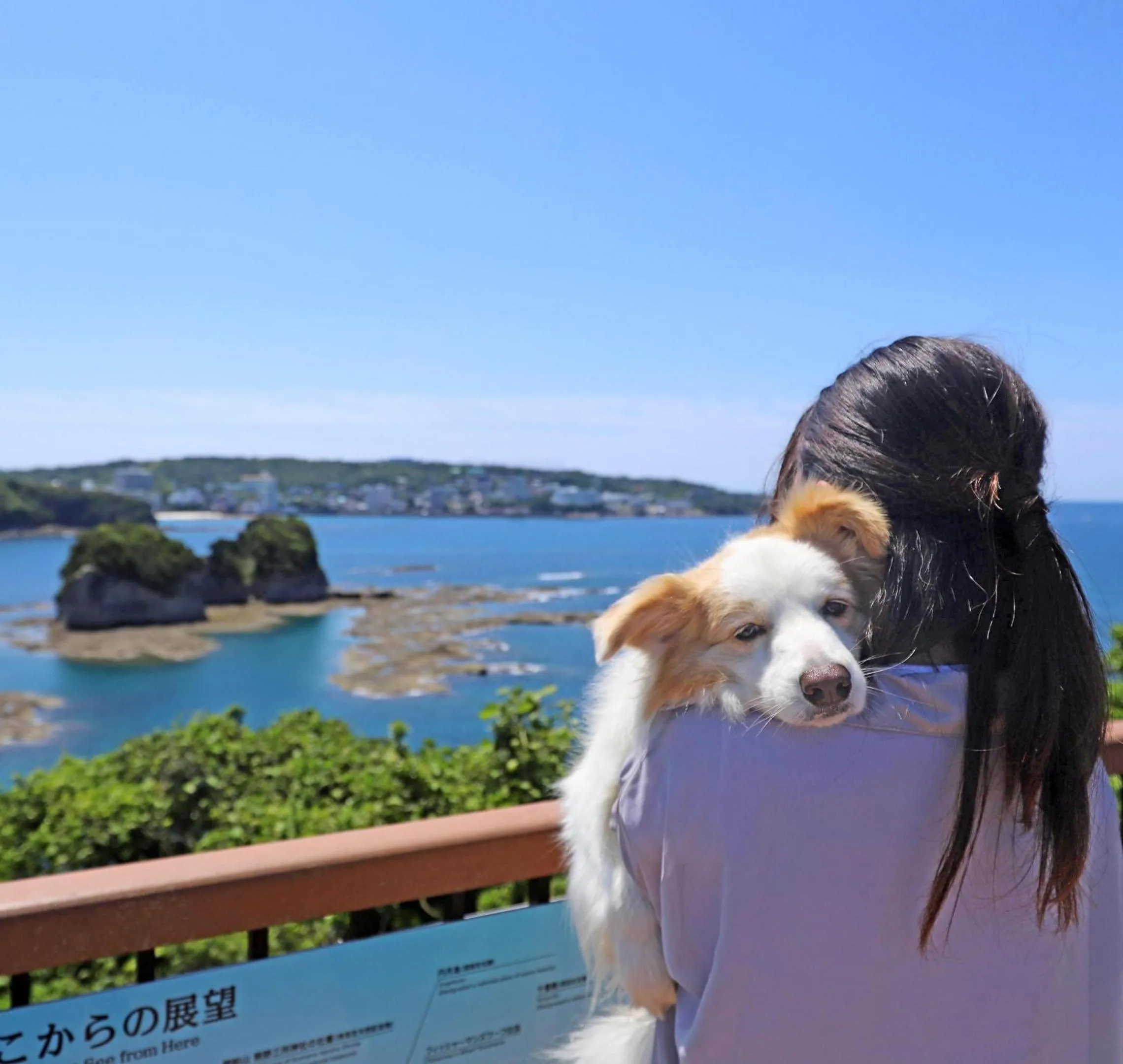 Nearby landmark in Nanki Shirahama Dog Paradise