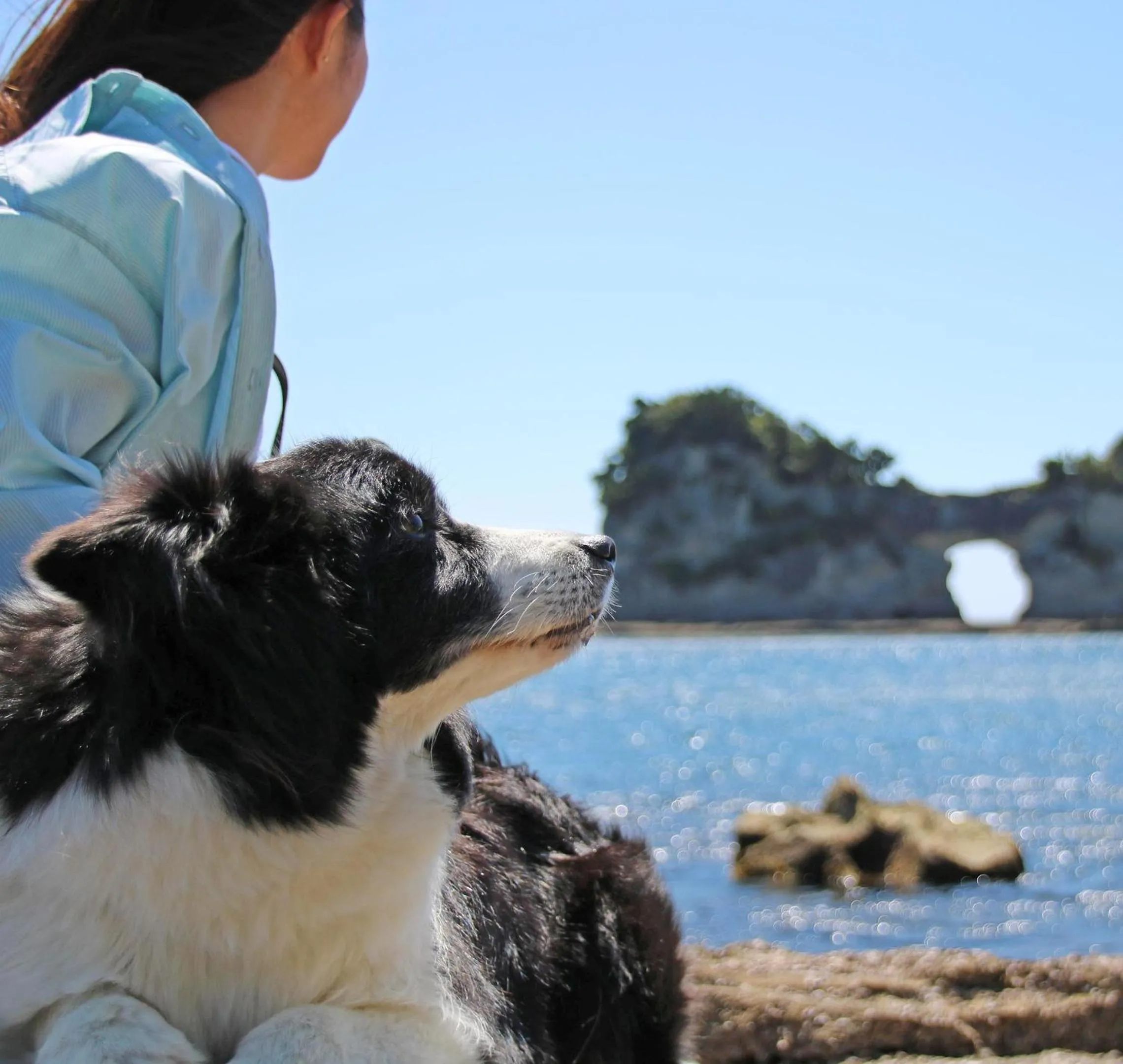 Nearby landmark in Nanki Shirahama Dog Paradise