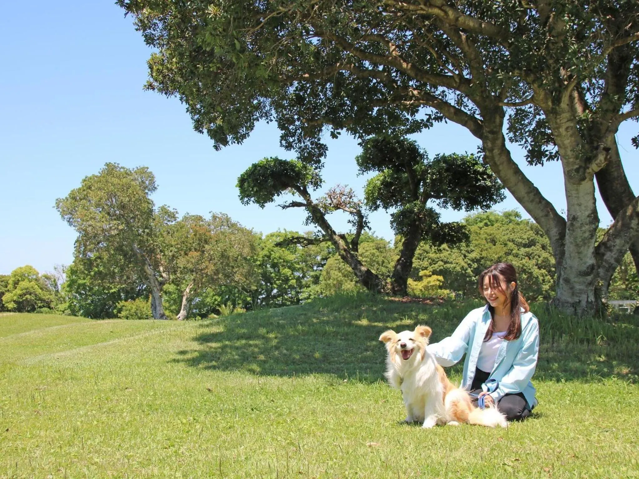 Natural landscape in Nanki Shirahama Dog Paradise