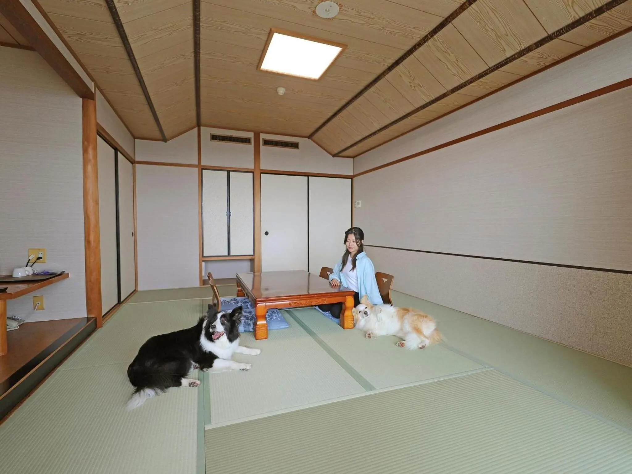 Photo of the whole room in Nanki Shirahama Dog Paradise