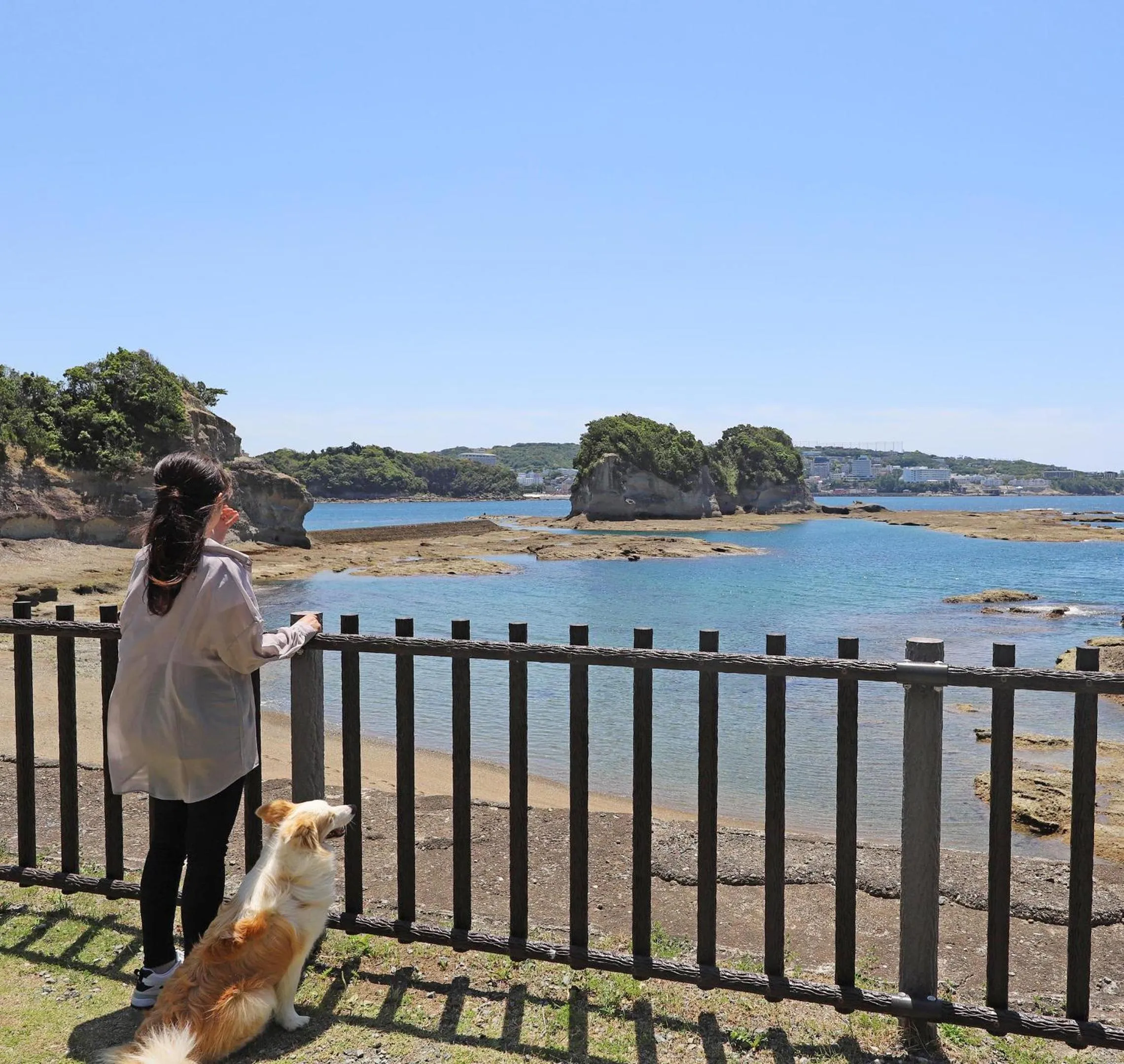 Nearby landmark in Nanki Shirahama Dog Paradise