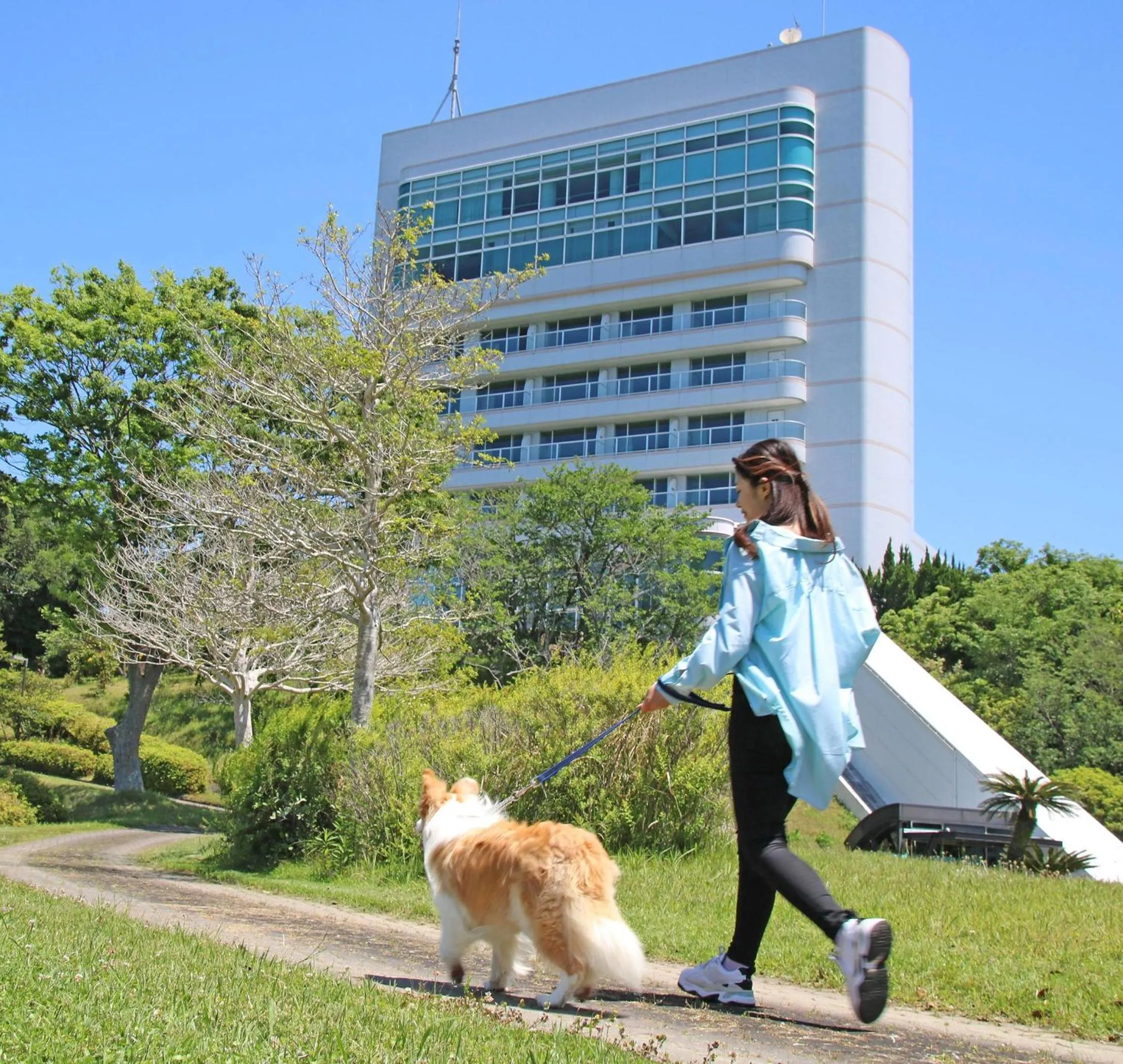 Property building in Nanki Shirahama Dog Paradise
