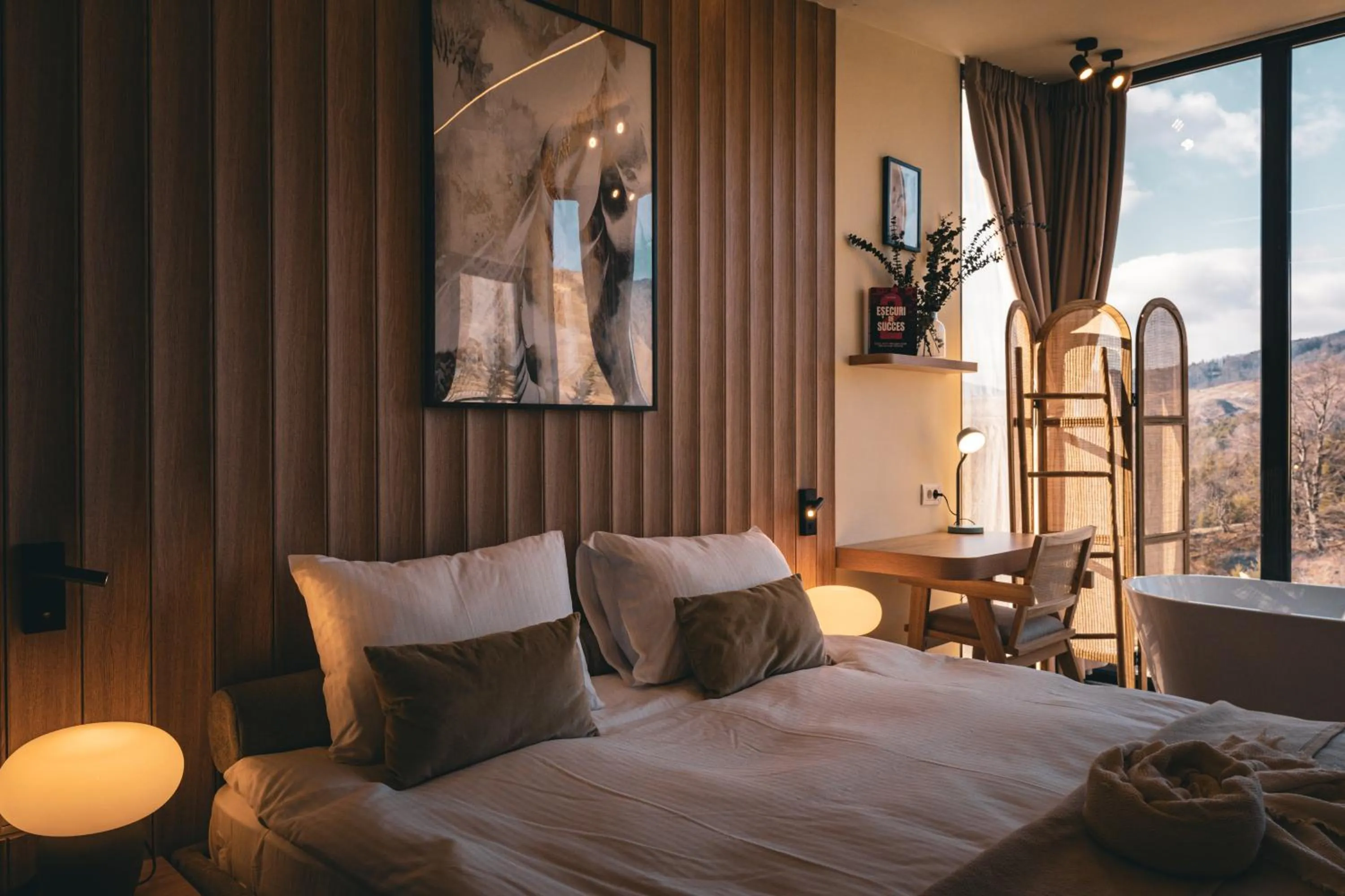 Bed in Moon Valley Comarnic