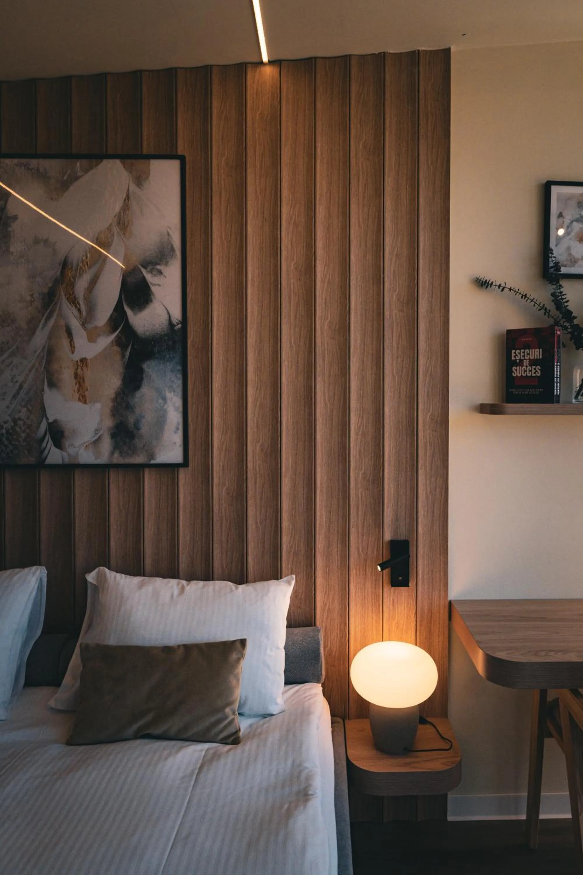 Bed in Moon Valley Comarnic