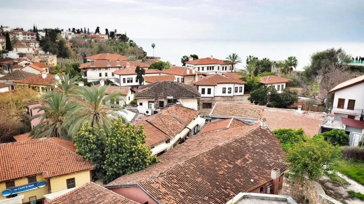 Esse Joven Hotel Esse Joven Hotel