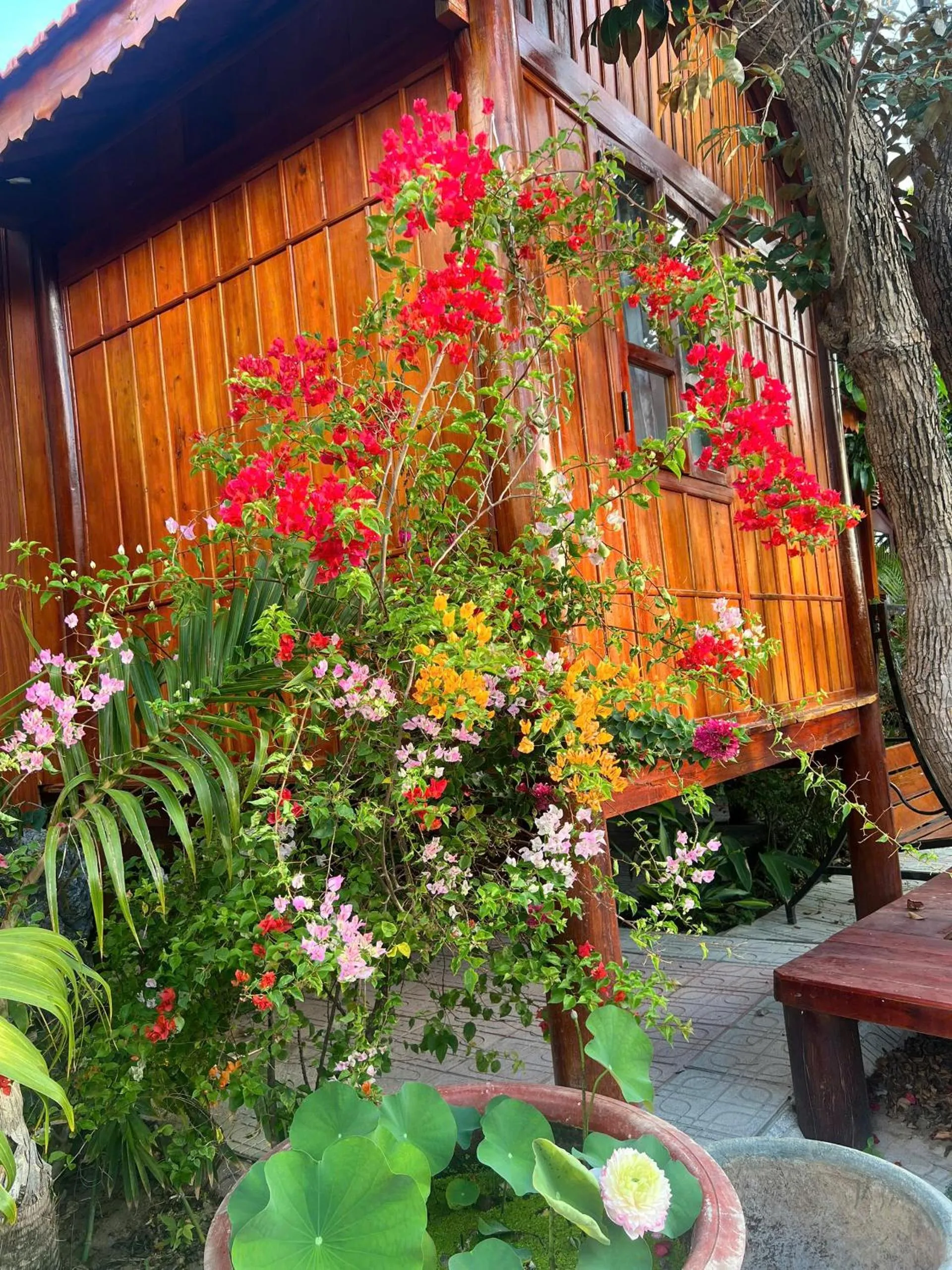 Day in Wooden Homestay LAGI