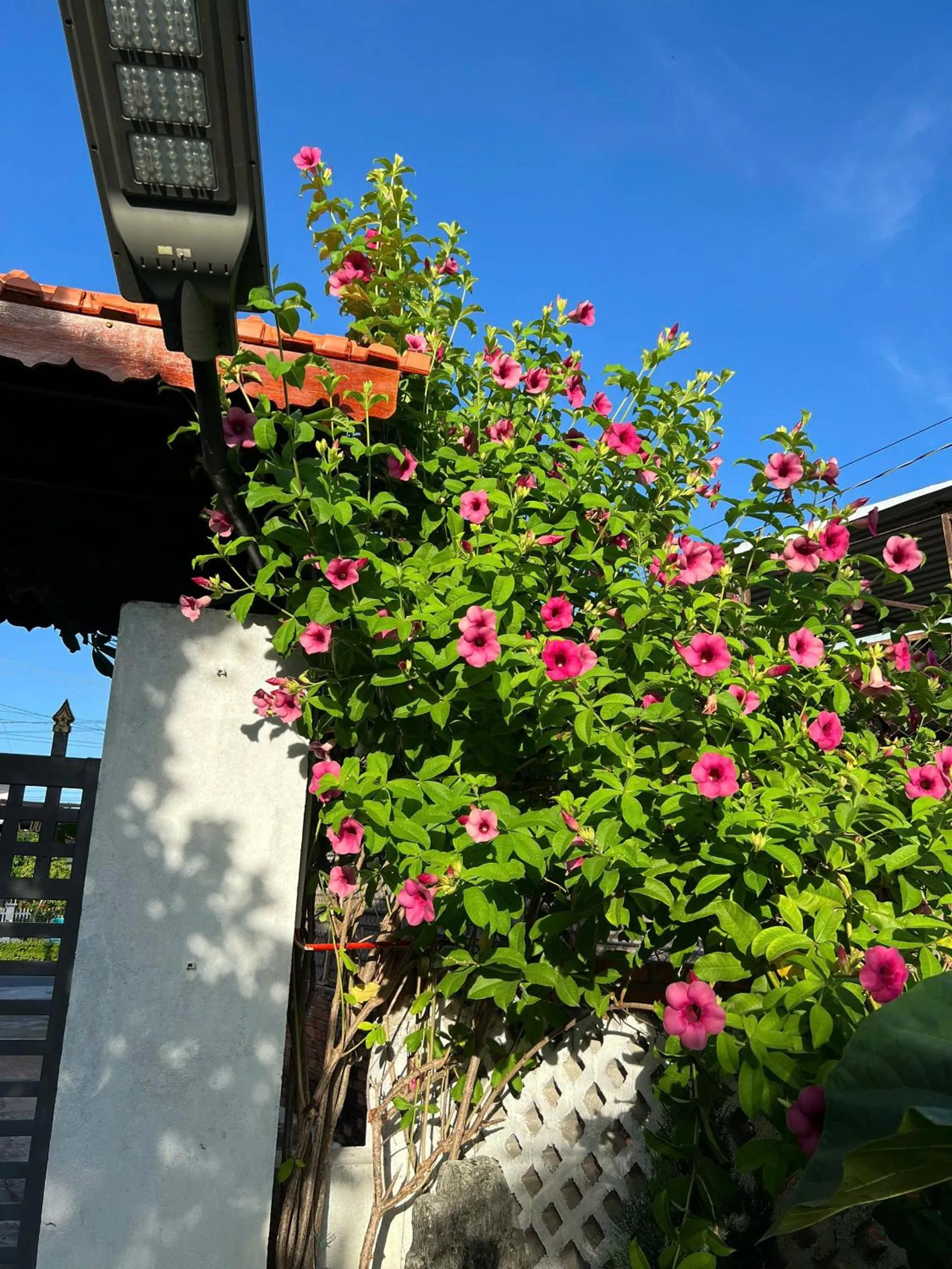 Facade/entrance in Wooden Homestay LAGI