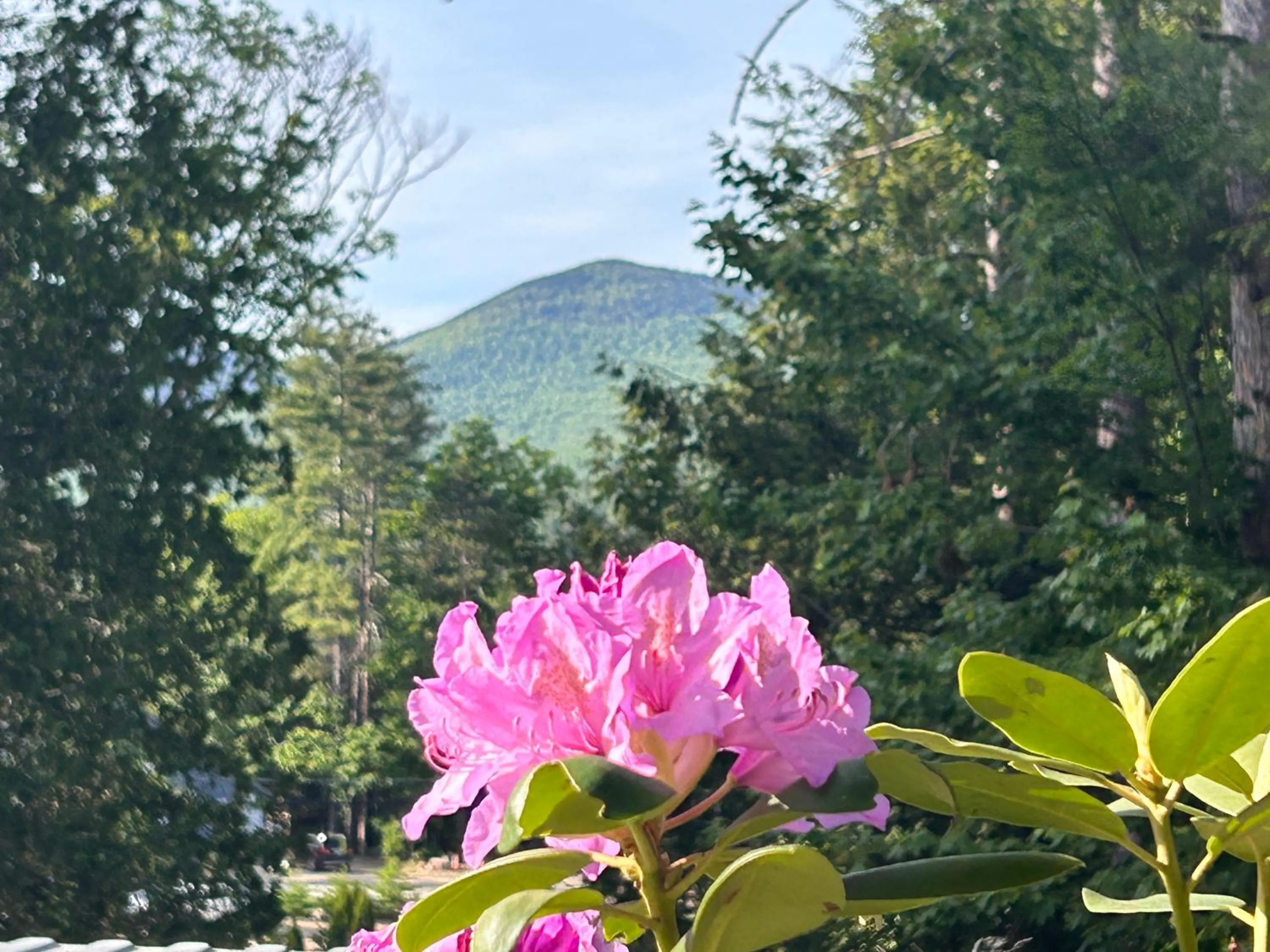 Garden in The Aurora Inn & Cottages