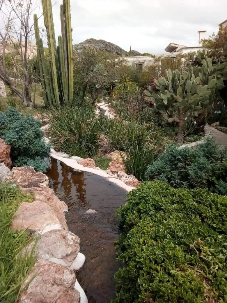 Garden in Centenario Los Arroyitos