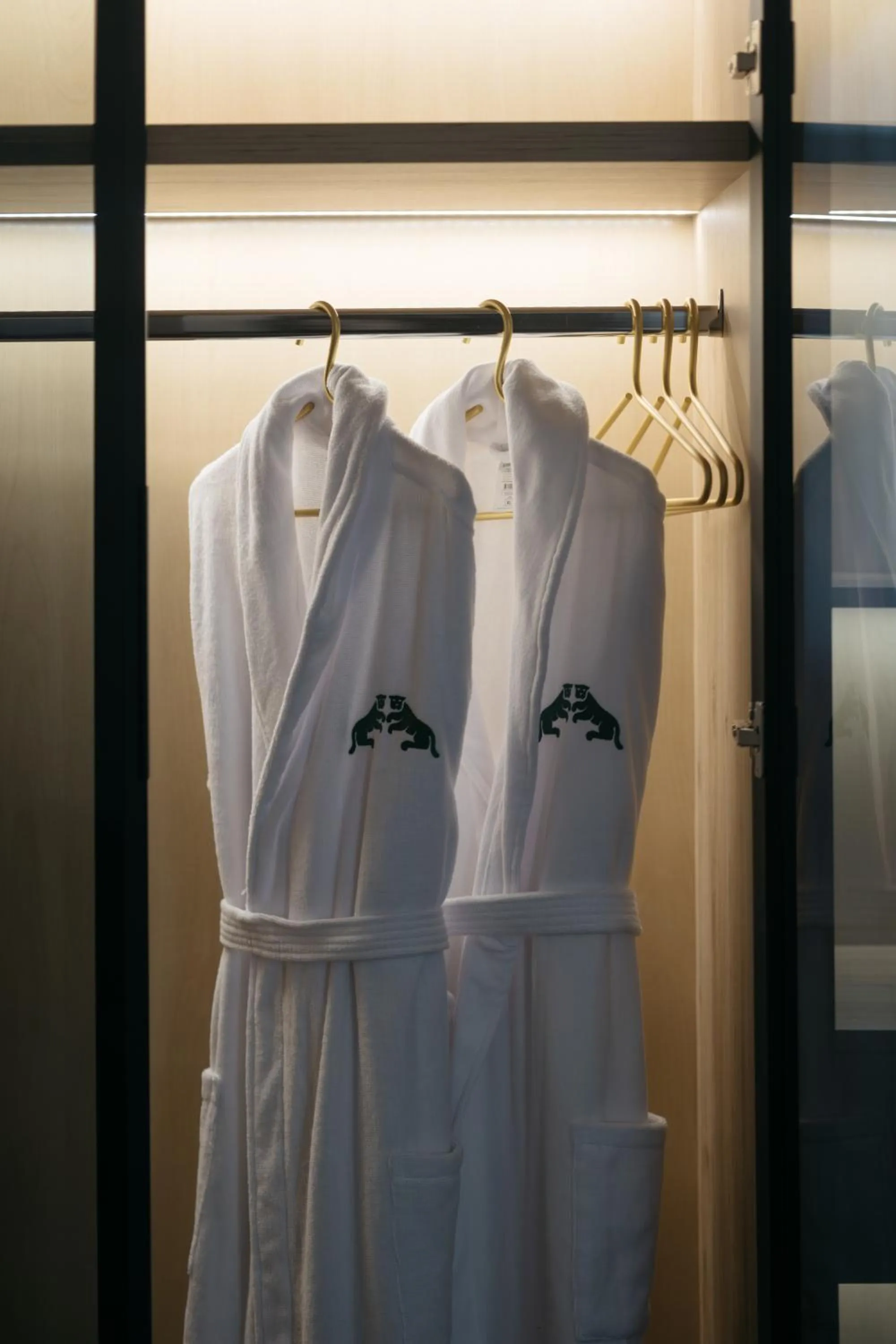 wardrobe in Old Ijevan Boutique Hotel