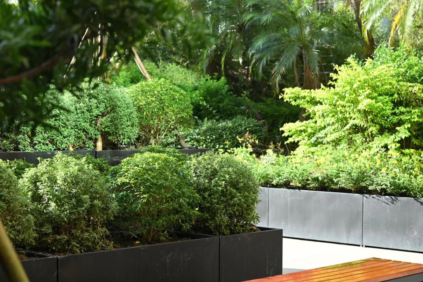 Garden in Via Hotel Breeze