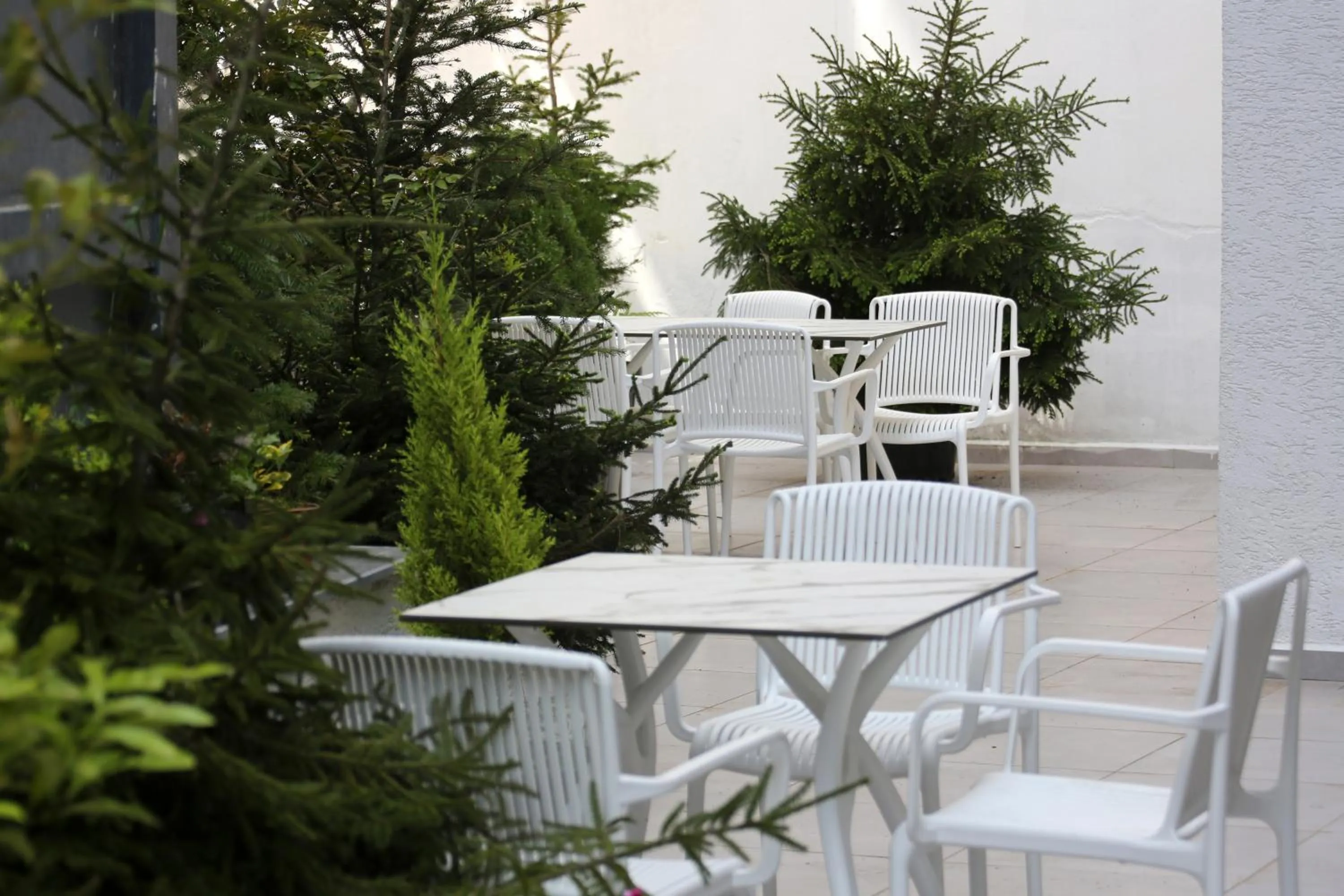 Balcony/Terrace in Petra Hotel Trabzon