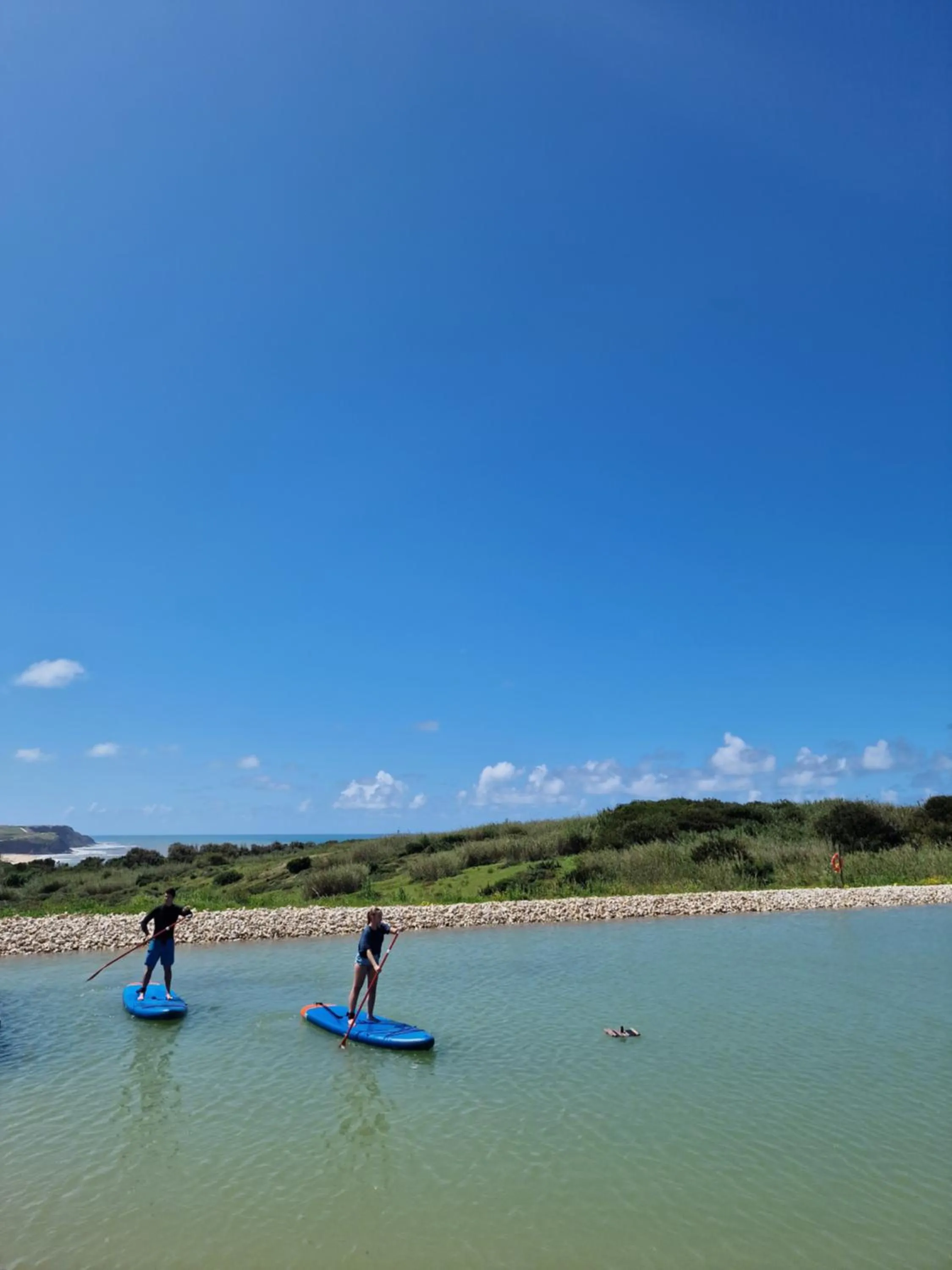 Sports in Santa Cruz - Movement & Nature House
