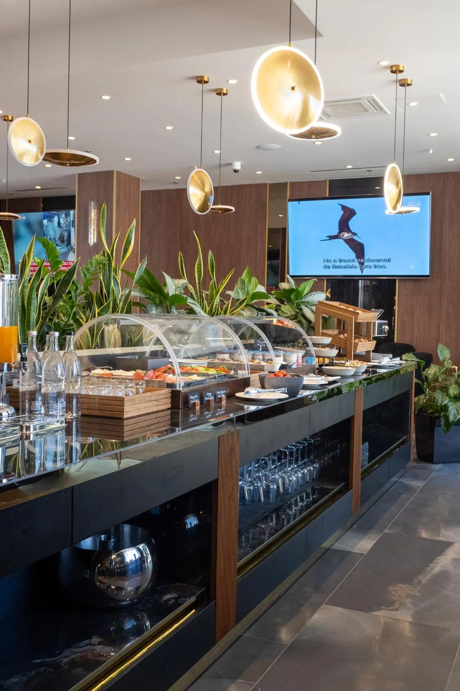 Breakfast in Sky Airport Hotel