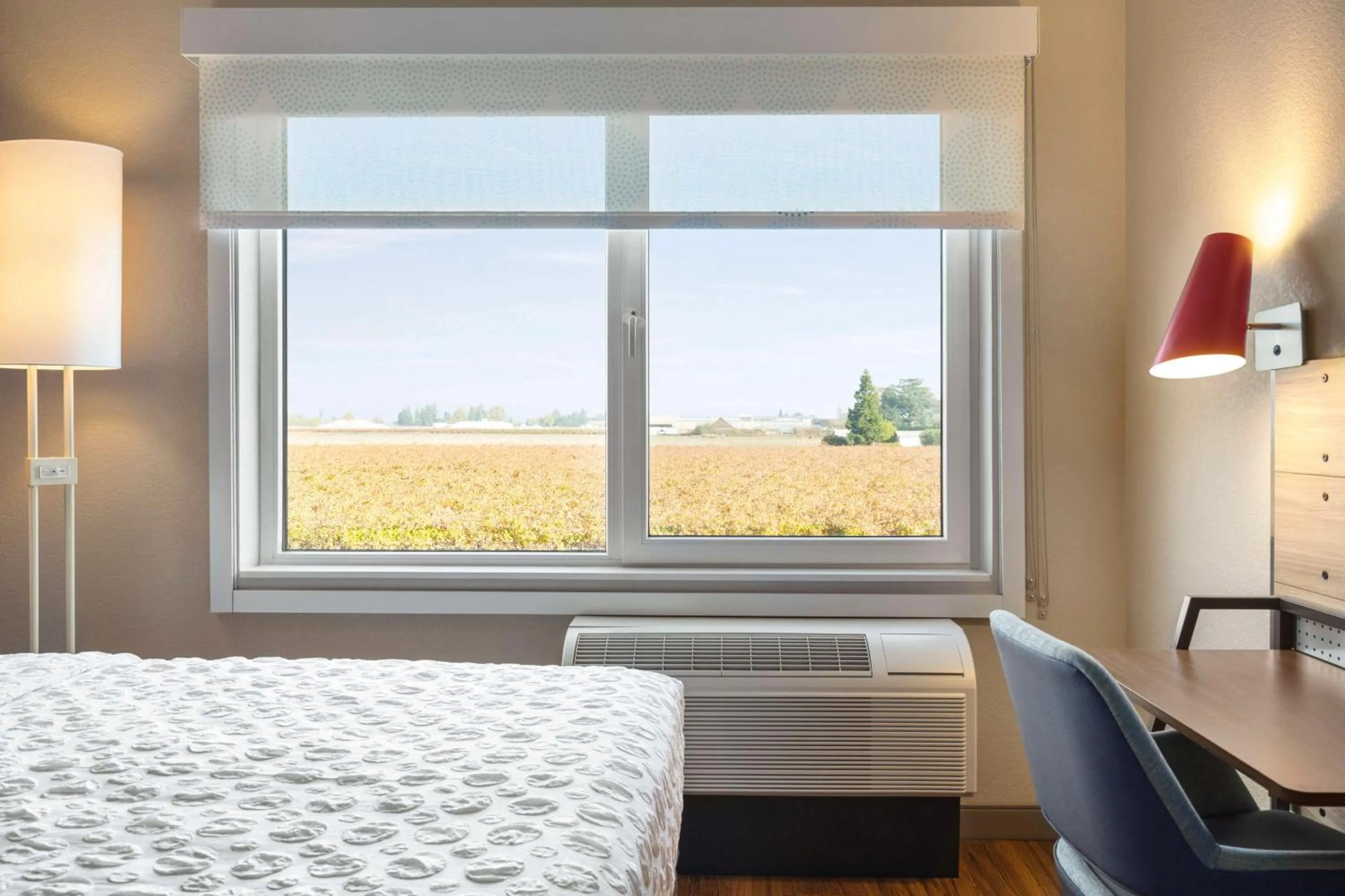 Bedroom, Bed in Tru By Hilton Lodi