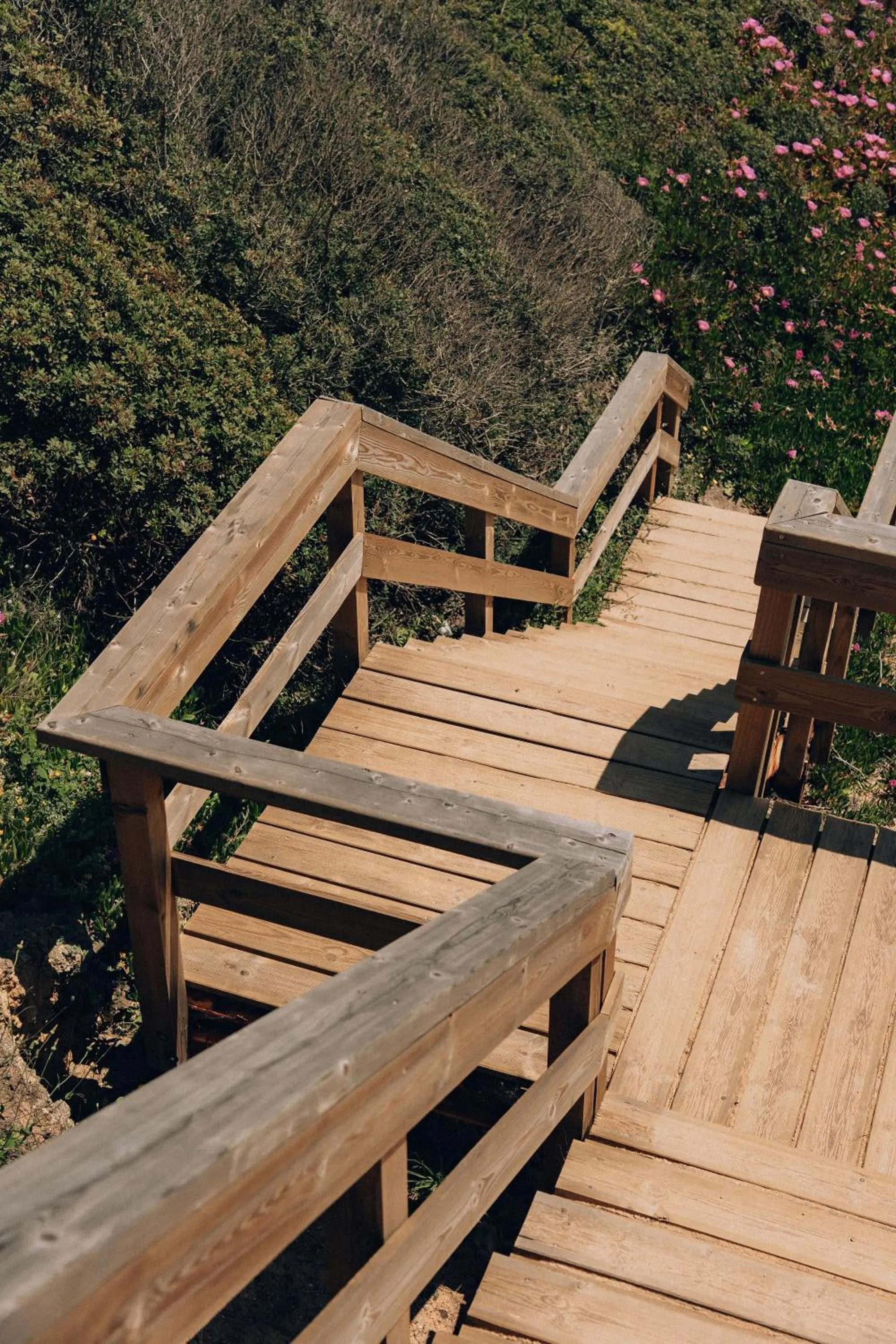 Garden in Masana Algarve