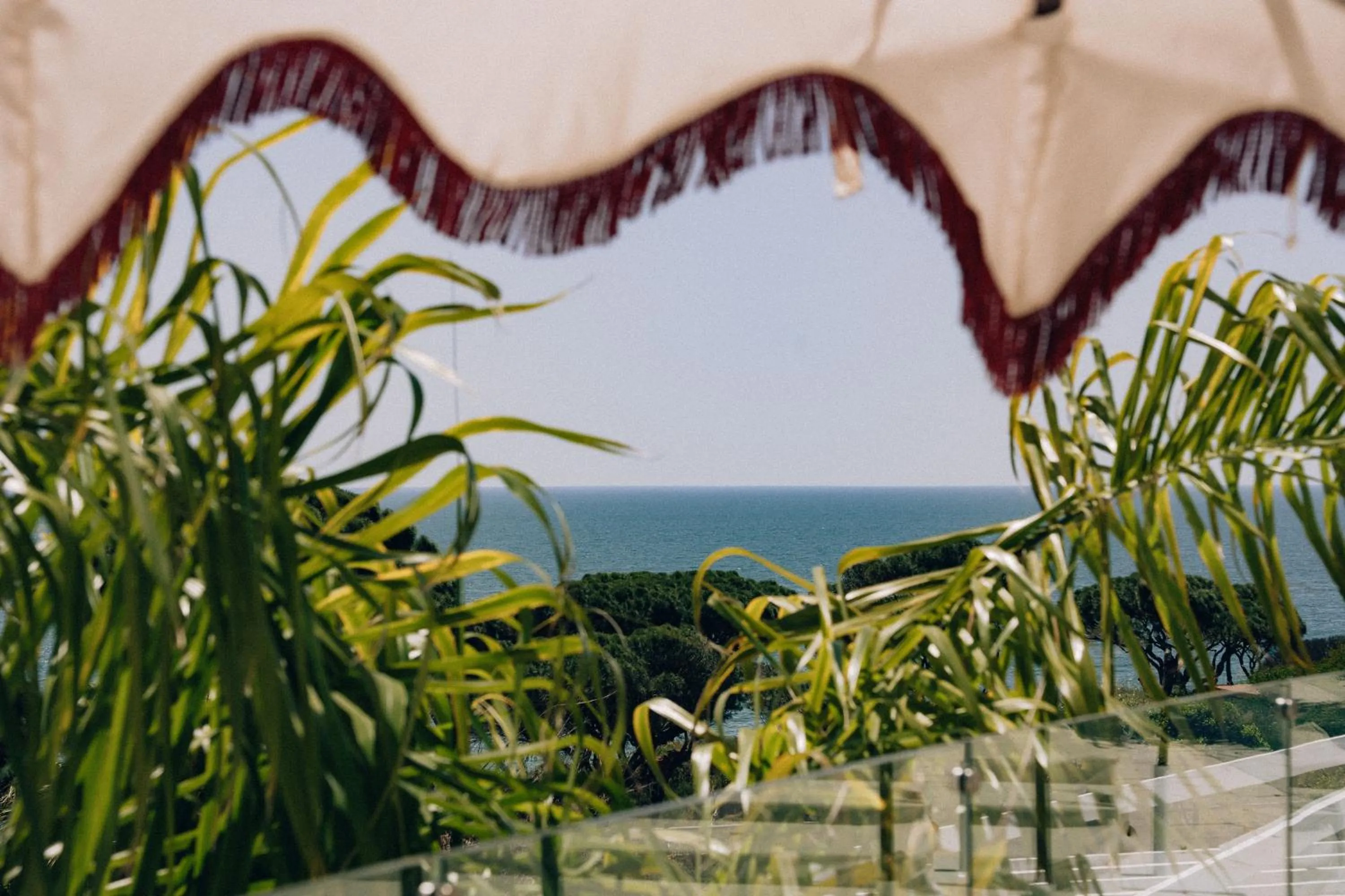 Garden in Masana Algarve