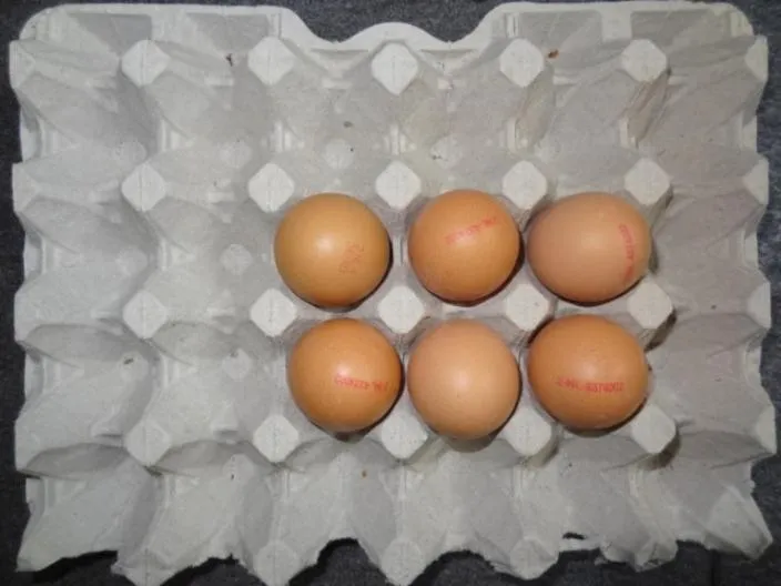 Bed and Breakfast de Kleyne Wereld