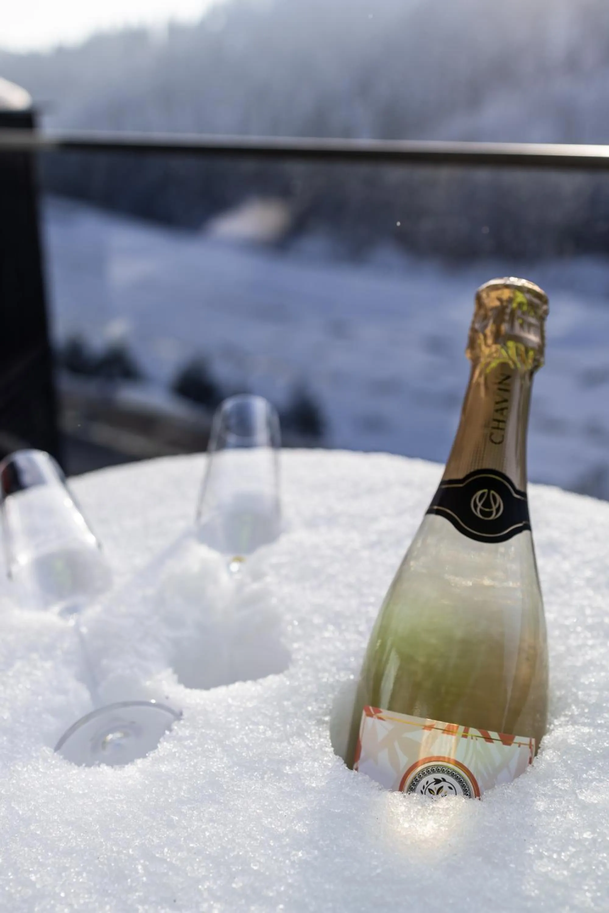 Glacier Premium Apartments