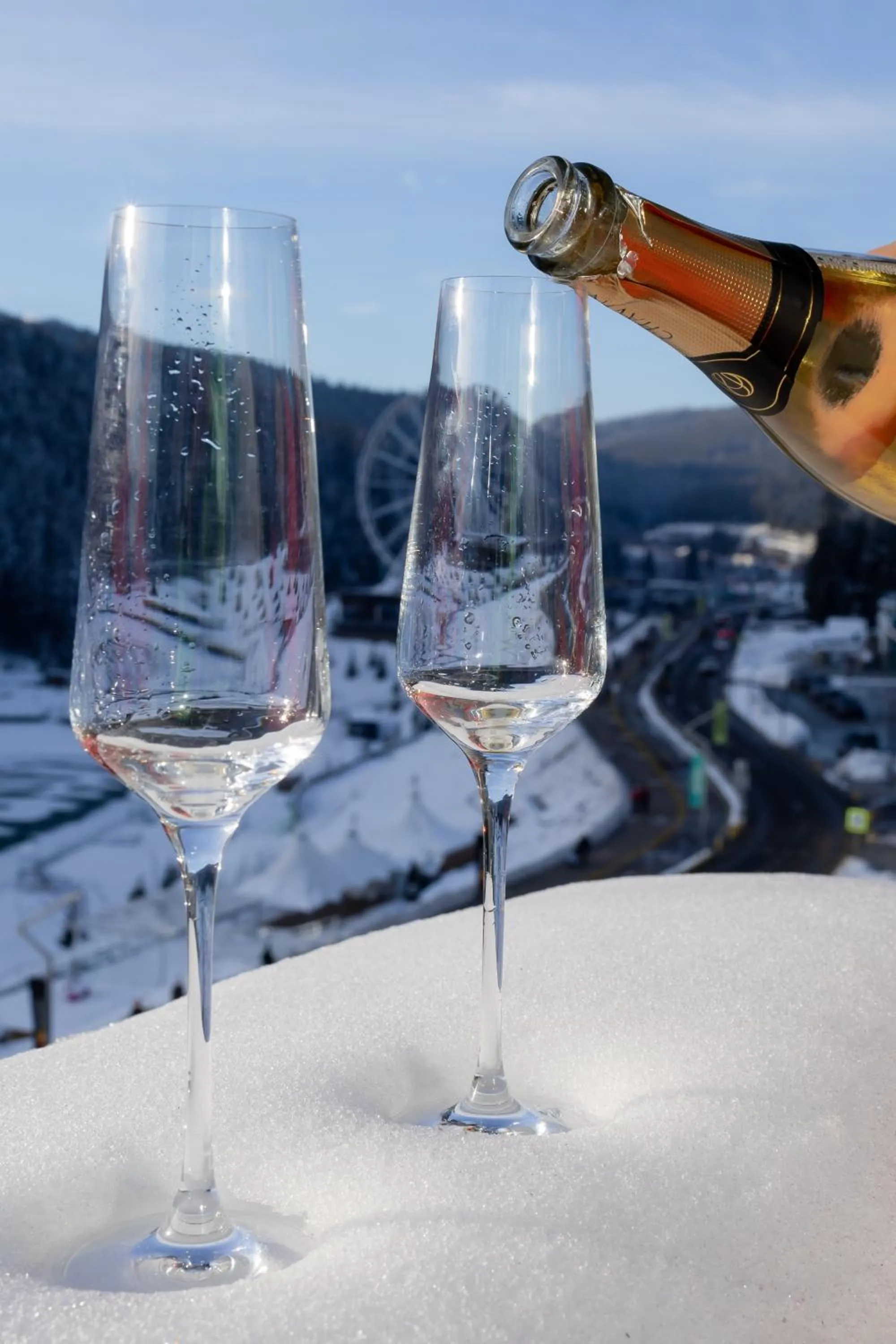 Glacier Premium Apartments