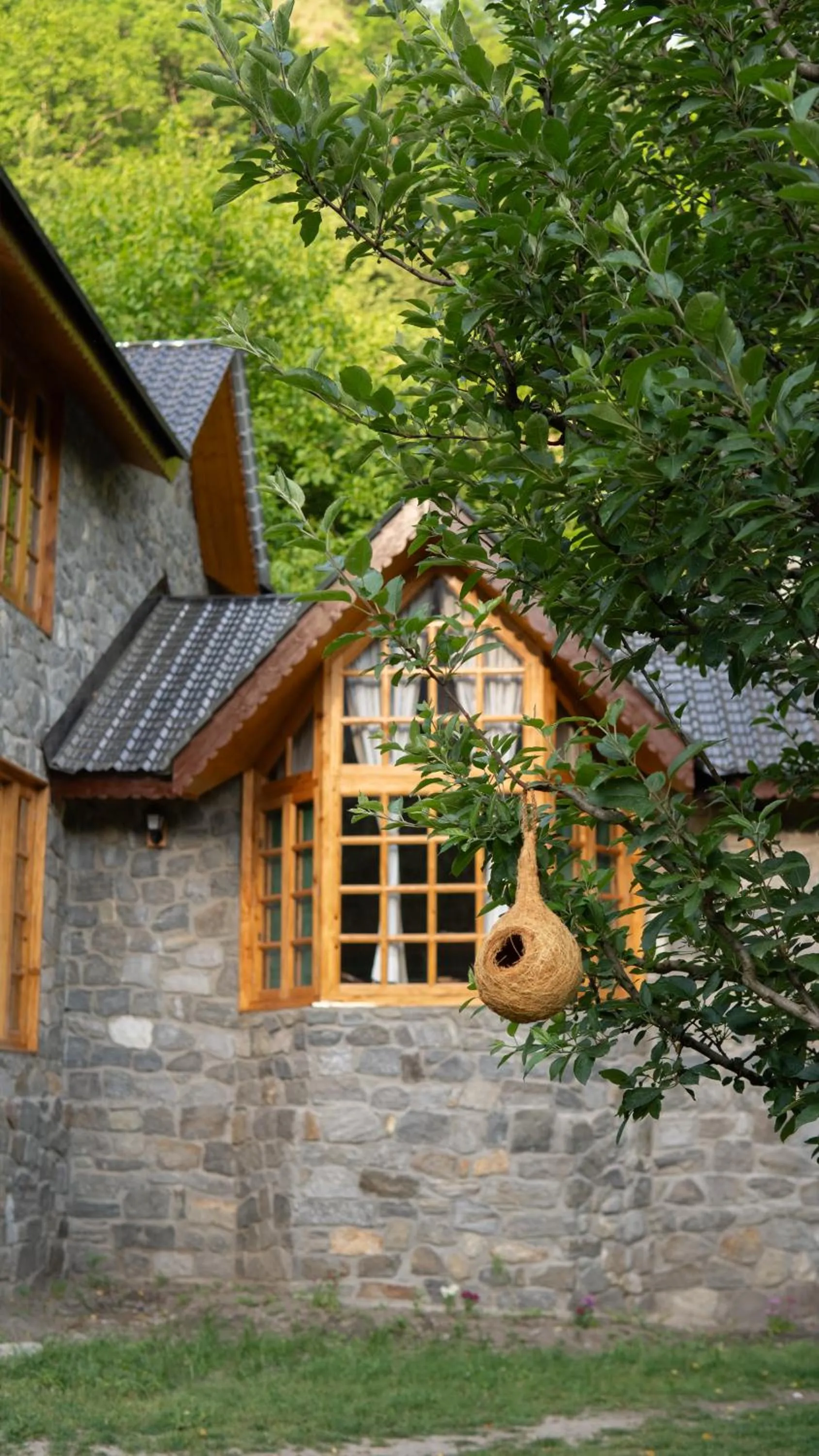 Spring in Somvan Chalet by Mick-Hans