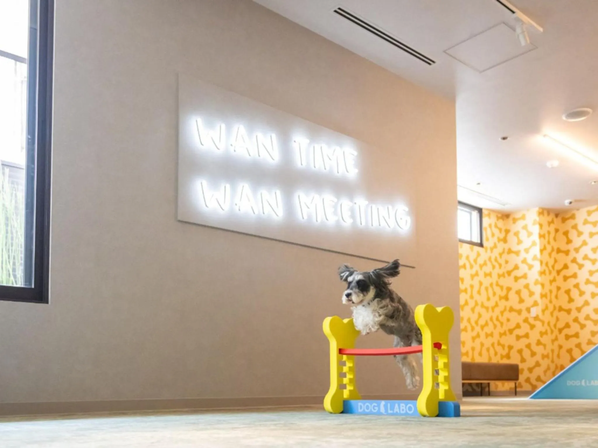 Pets in hotel anddoggy Kyoto Nijo