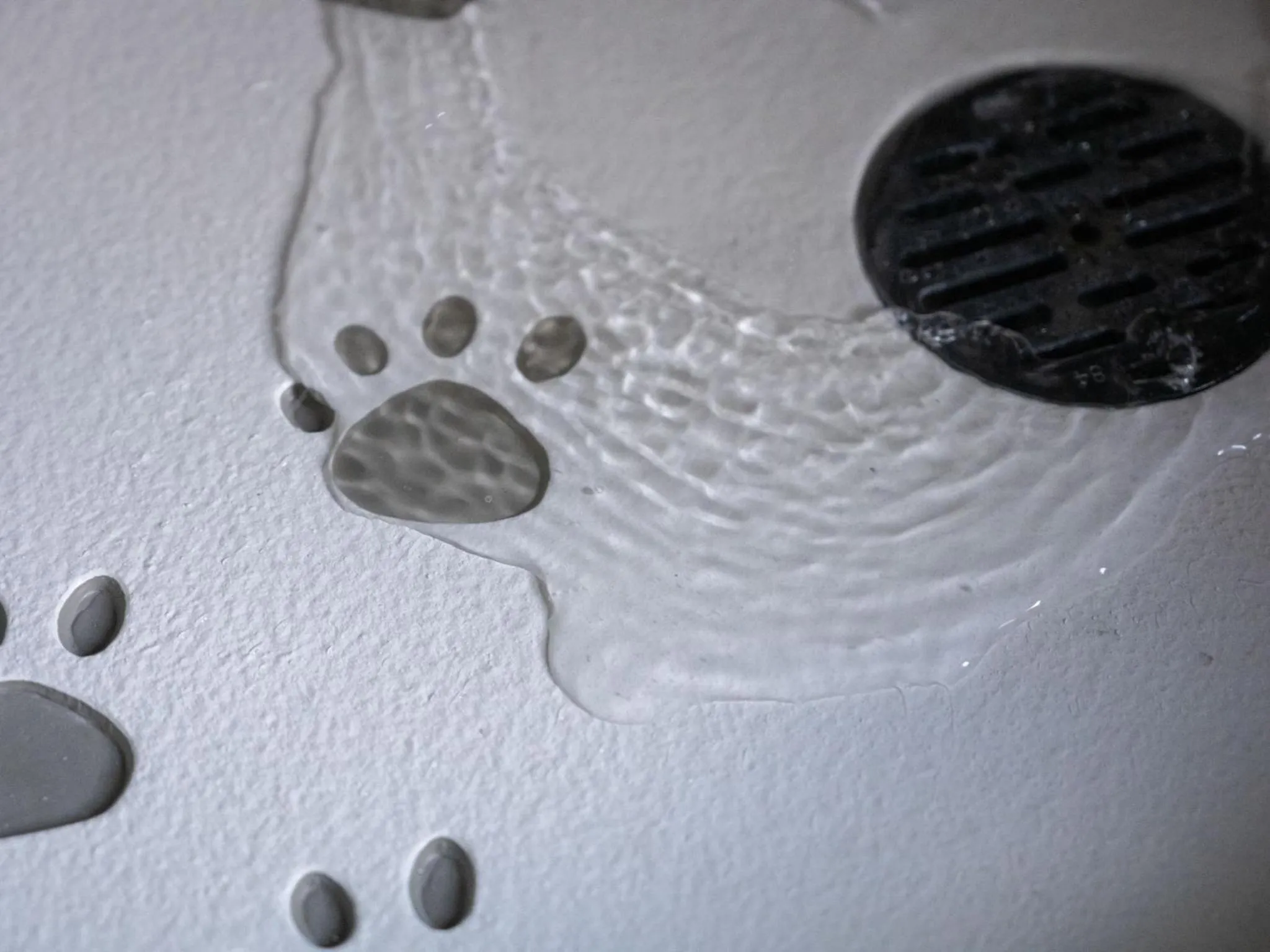 Area and facilities in hotel anddoggy Kyoto Nijo