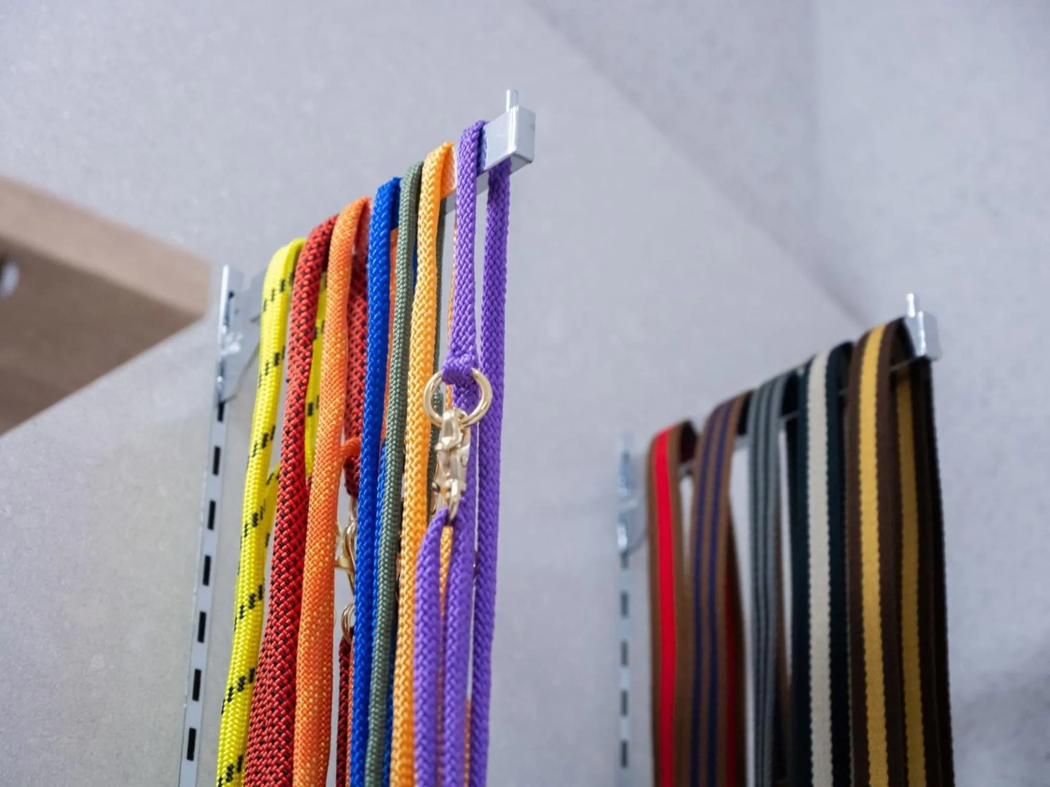 hotel anddoggy Kyoto Nijo