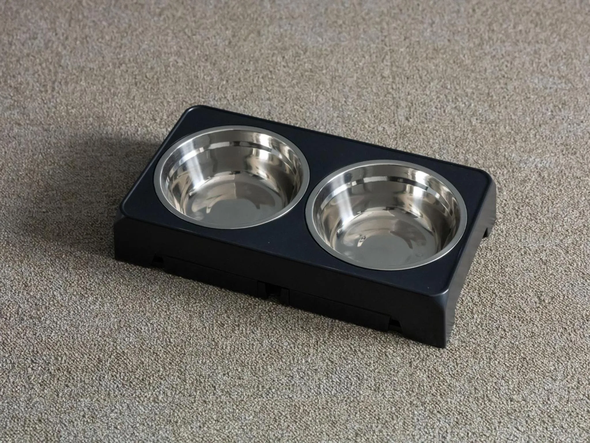 Bedroom in hotel anddoggy Kyoto Nijo