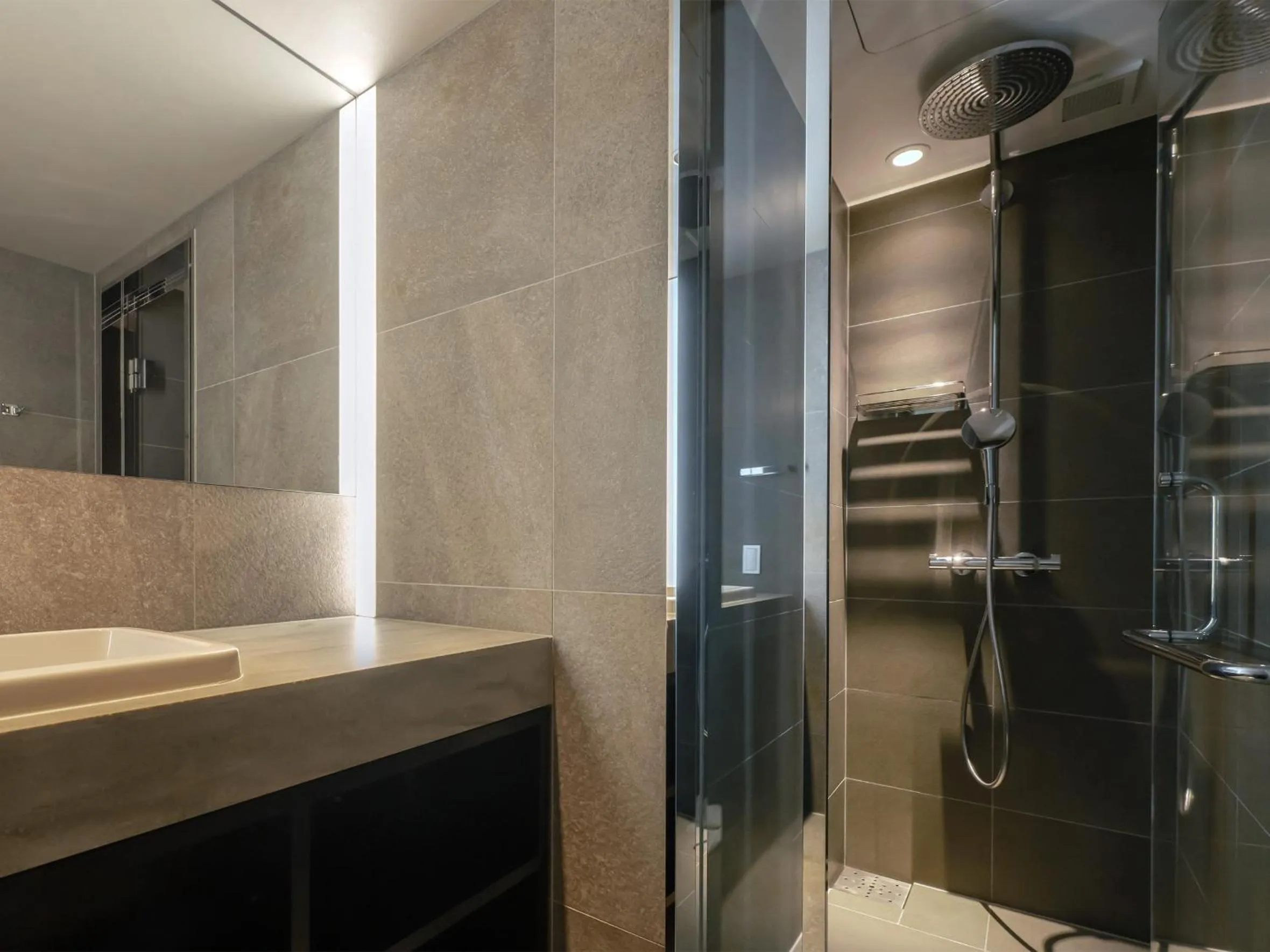 Shower in hotel anddoggy Kyoto Nijo