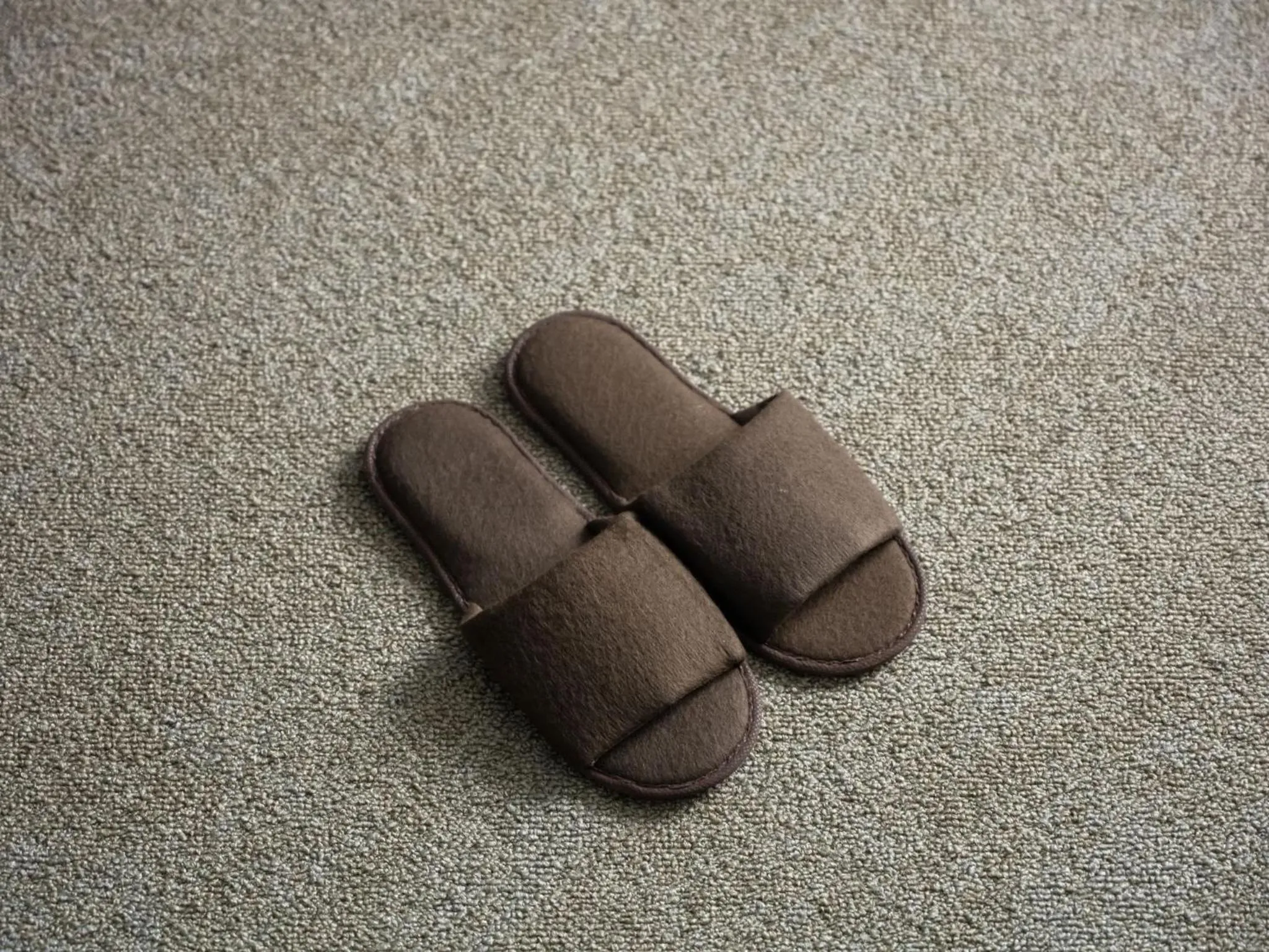 Bedroom in hotel anddoggy Kyoto Nijo