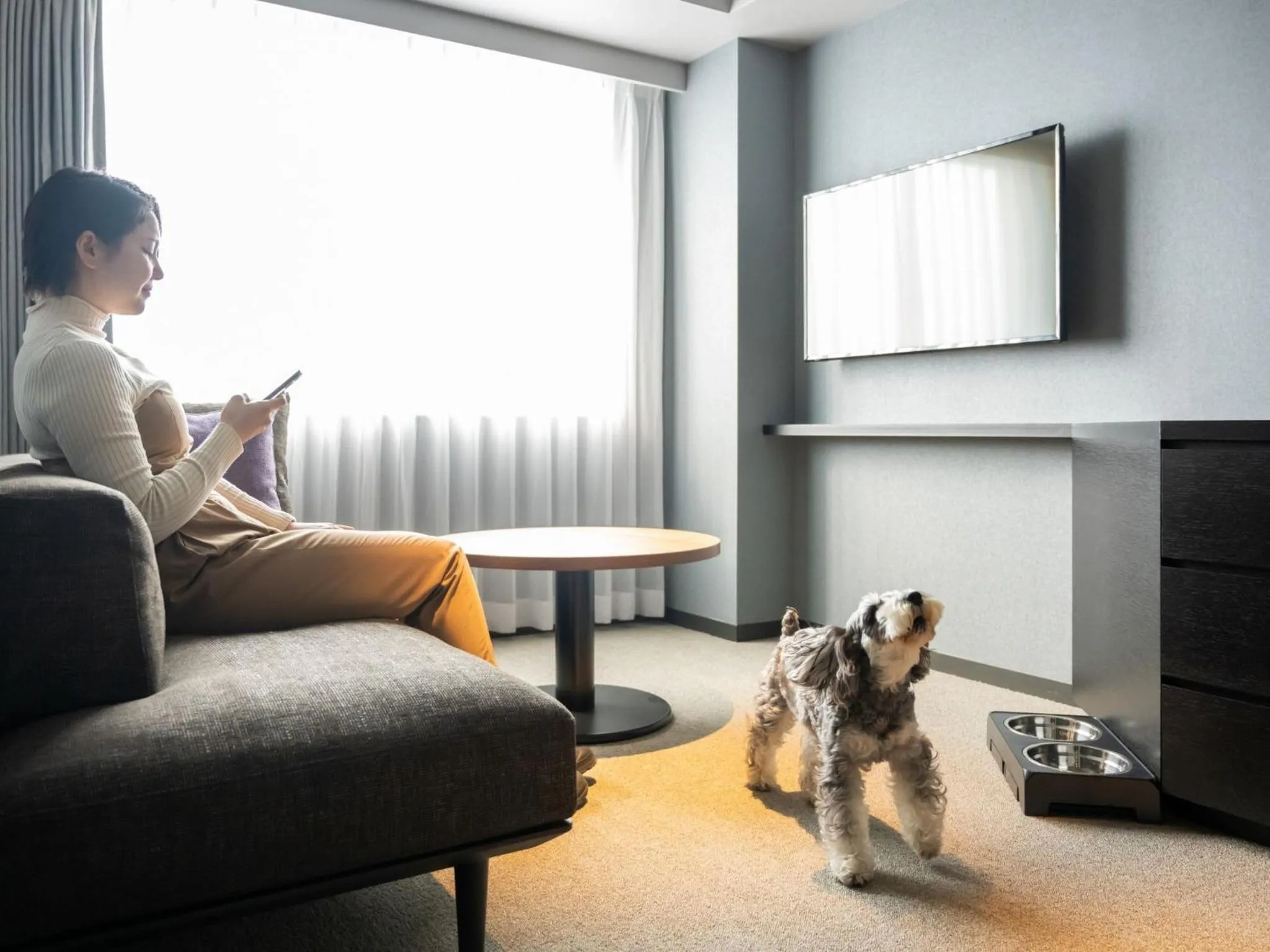 hotel anddoggy Kyoto Nijo