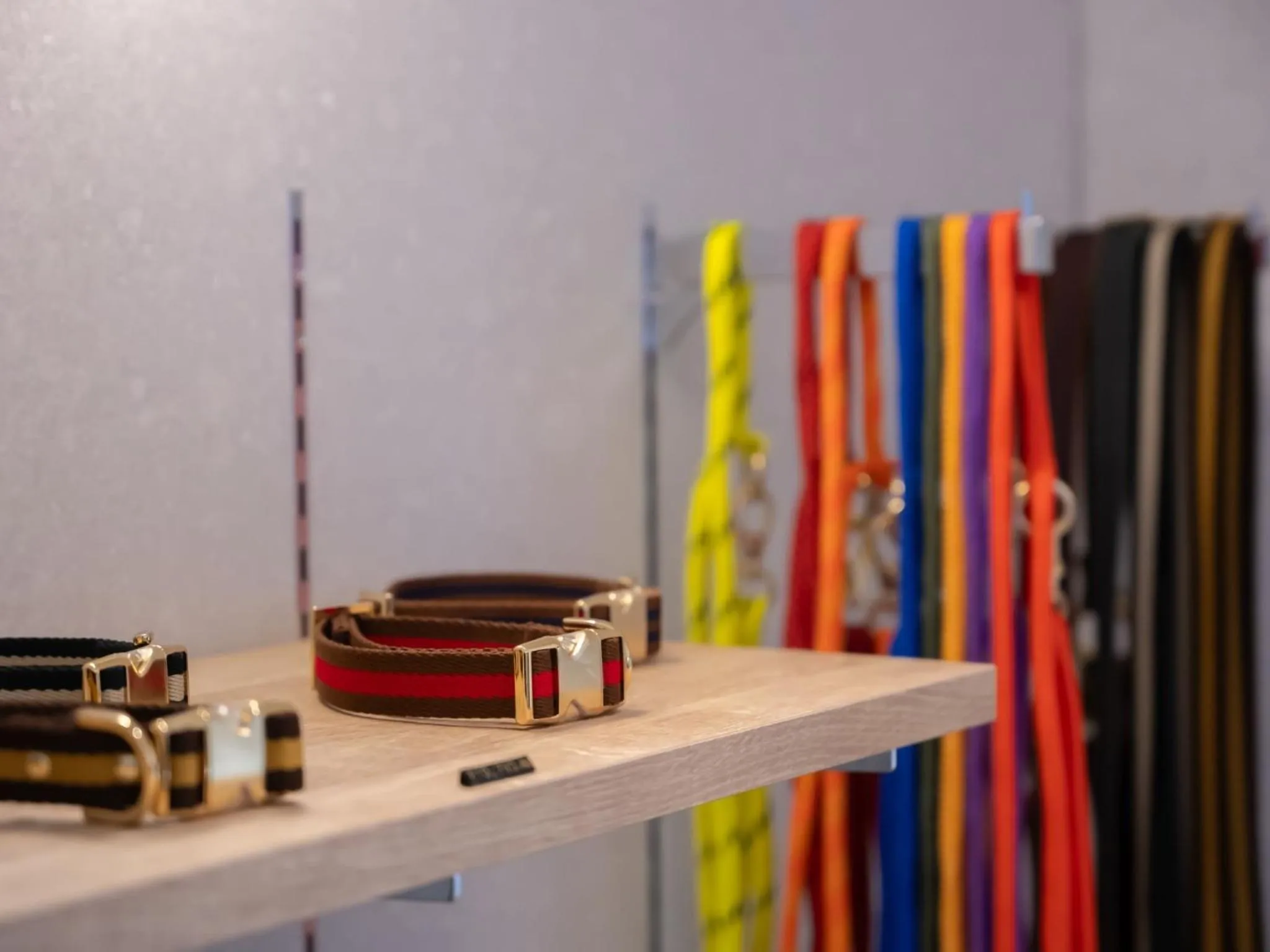 hotel anddoggy Kyoto Nijo