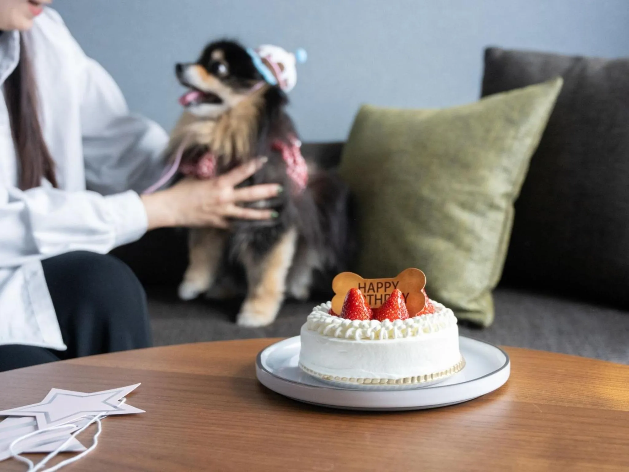 hotel anddoggy Kyoto Nijo