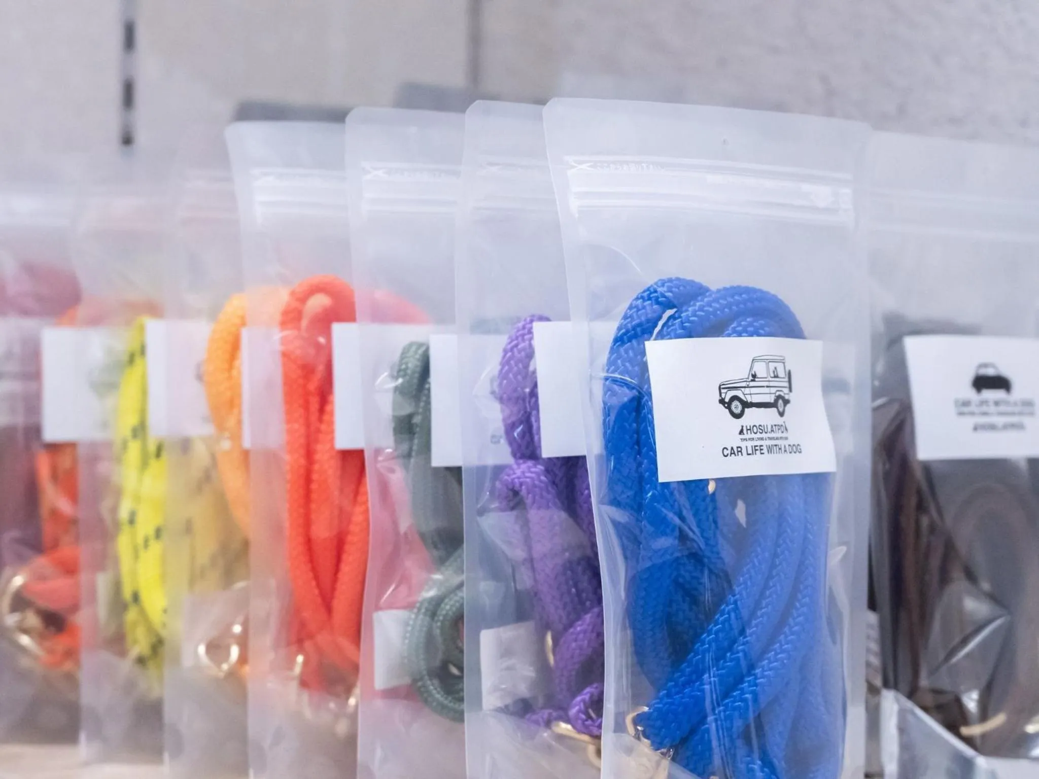 hotel anddoggy Kyoto Nijo