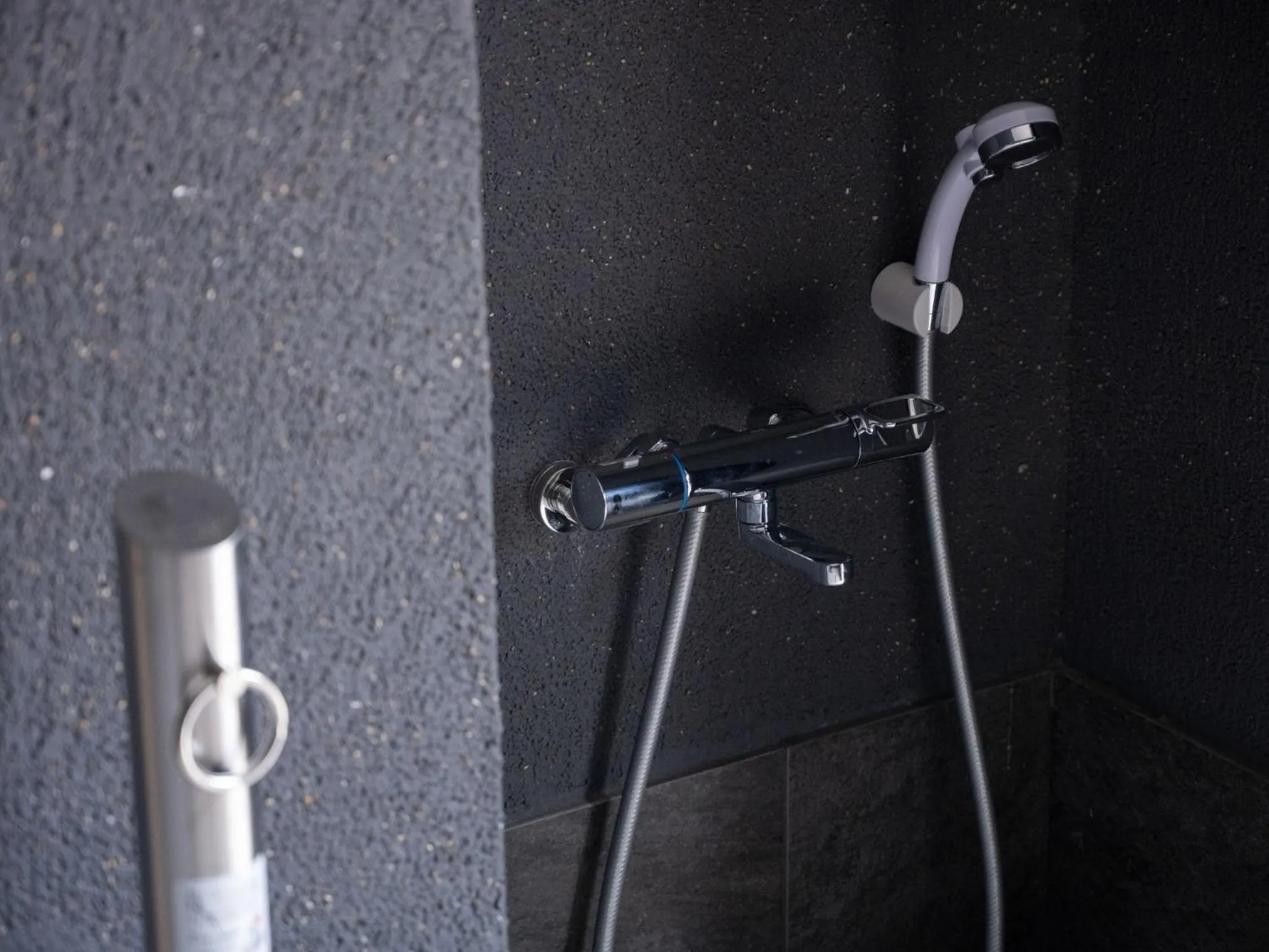 Shower in hotel anddoggy Kyoto Nijo