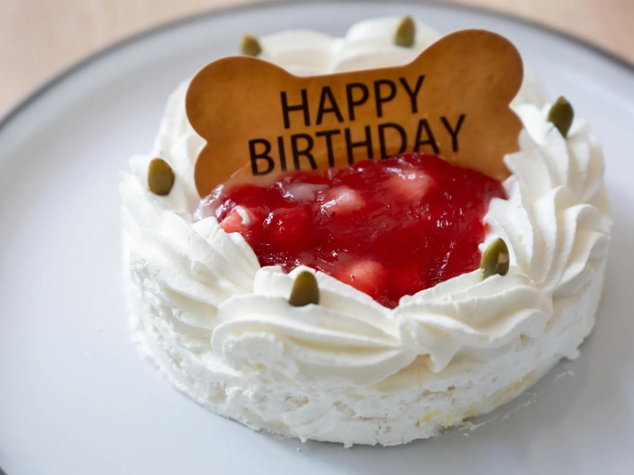 Animals in hotel anddoggy Kyoto Nijo