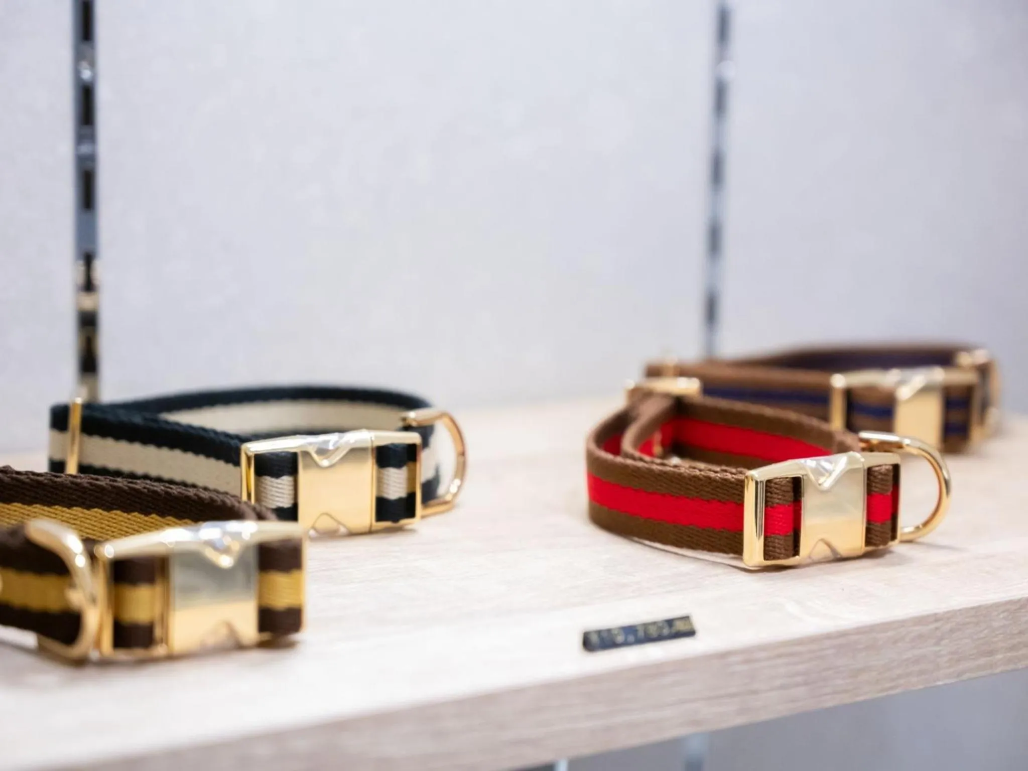 hotel anddoggy Kyoto Nijo