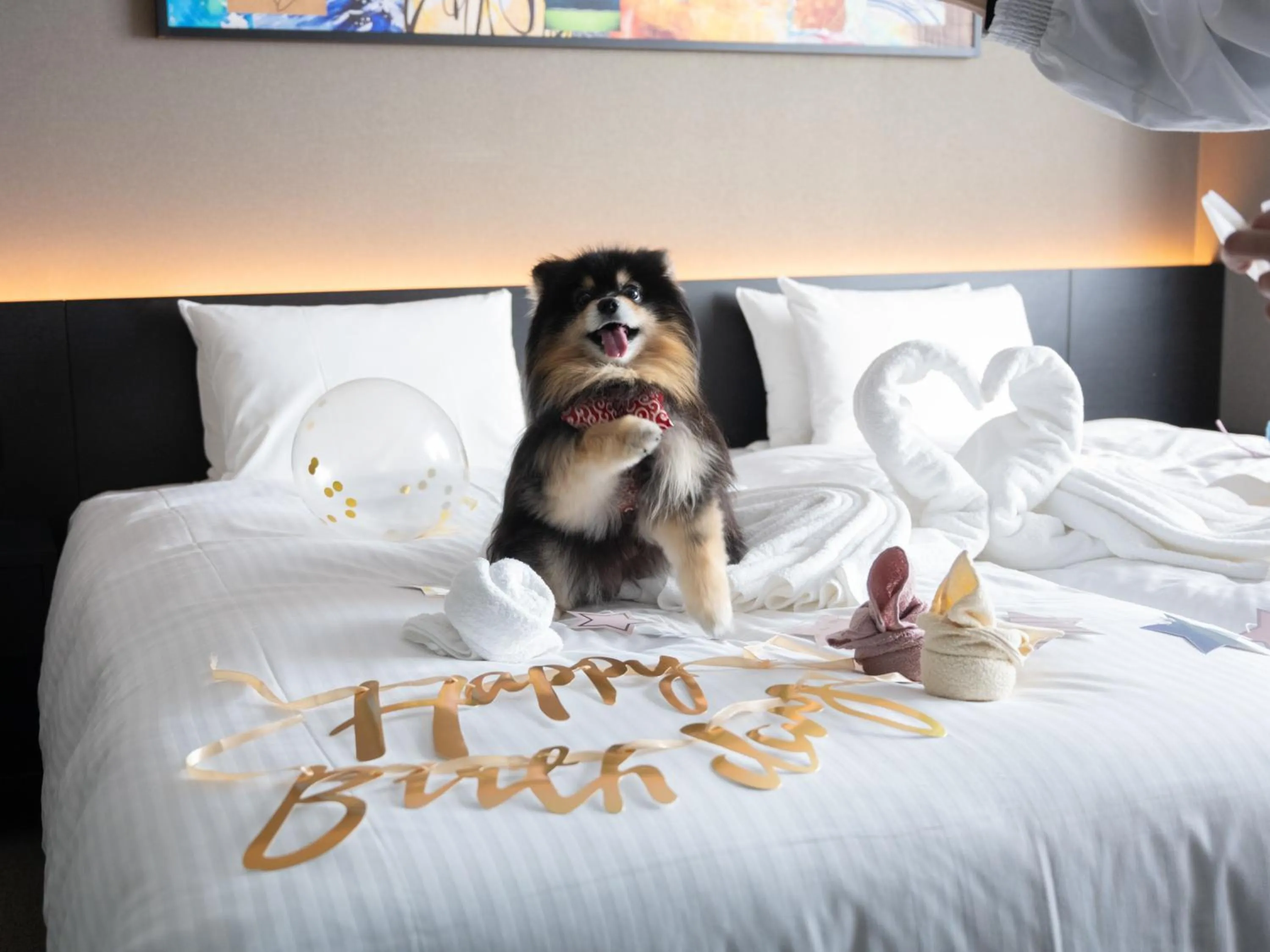 Pets in hotel anddoggy Kyoto Nijo