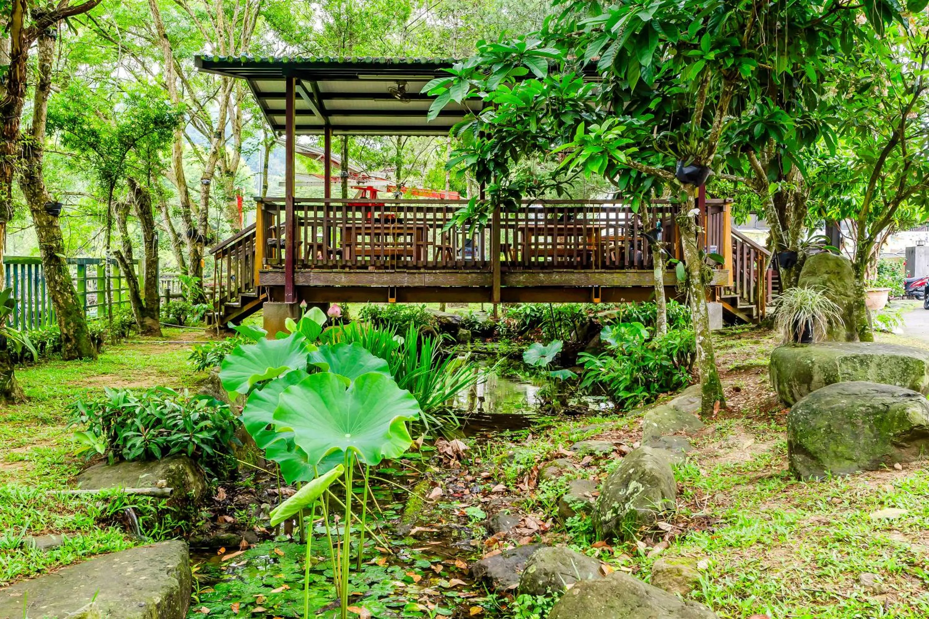 Natural landscape in Green House