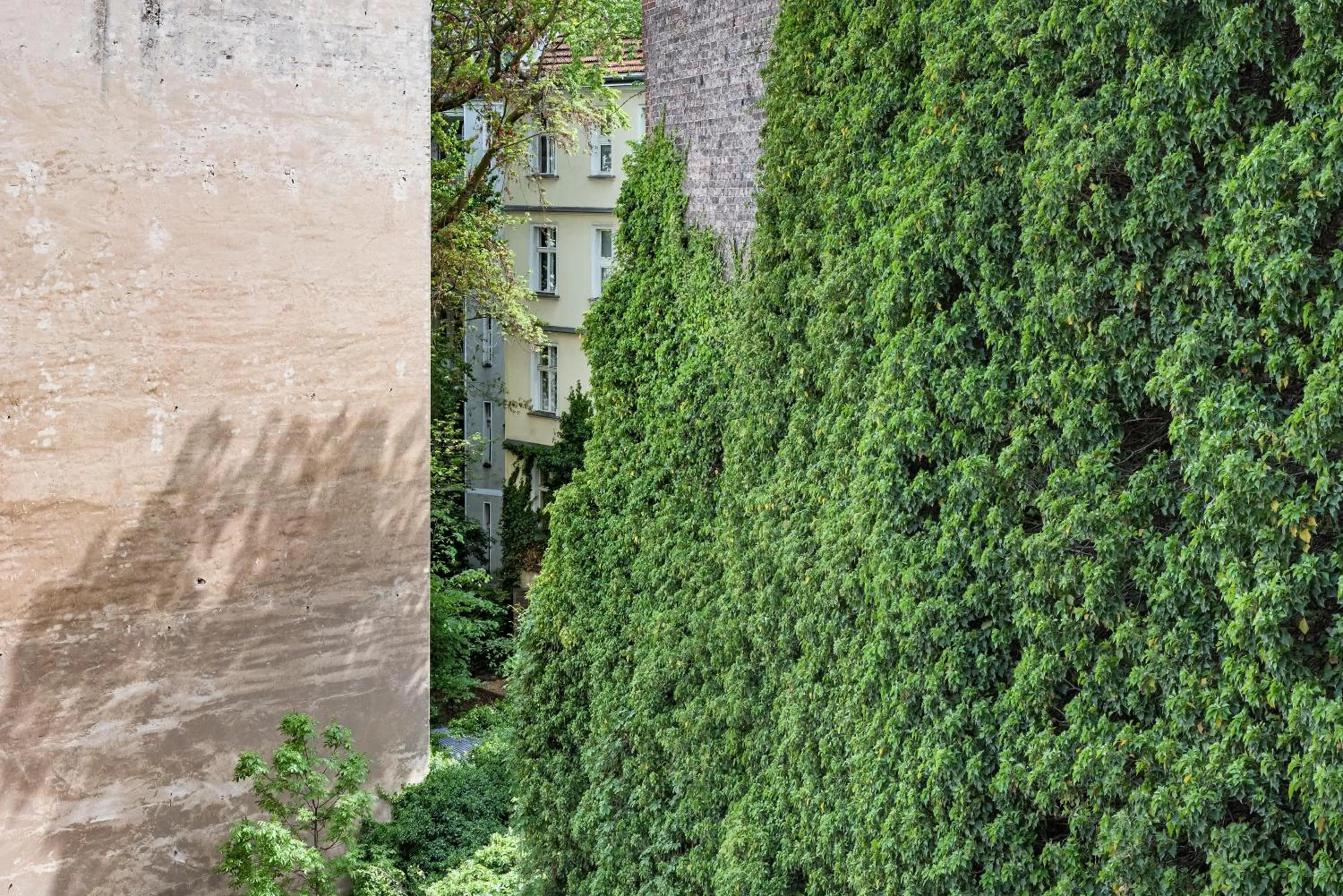 View (from property/room) in Wilmina Apartments & Lofts