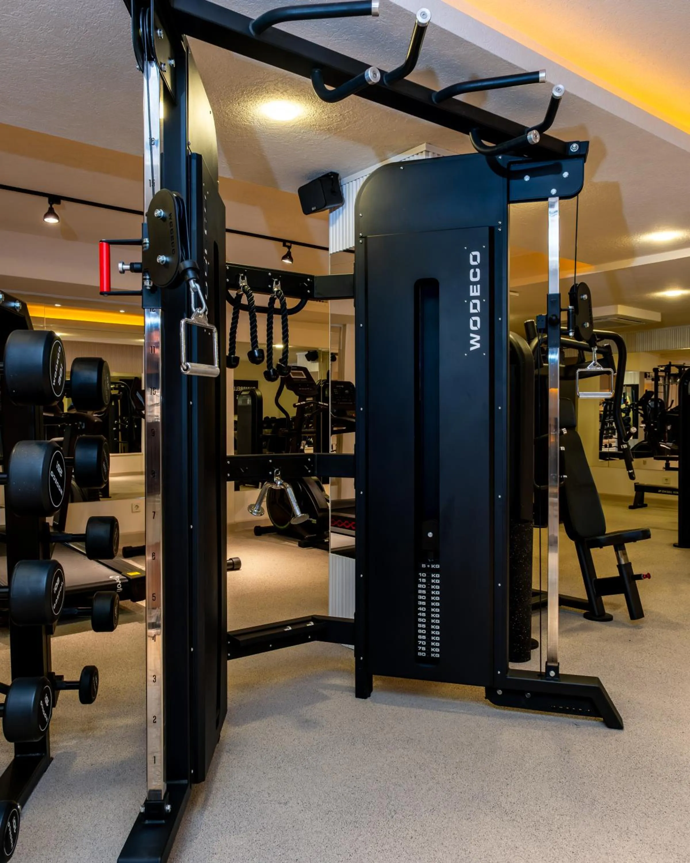 Fitness centre/facilities in Los Suites
