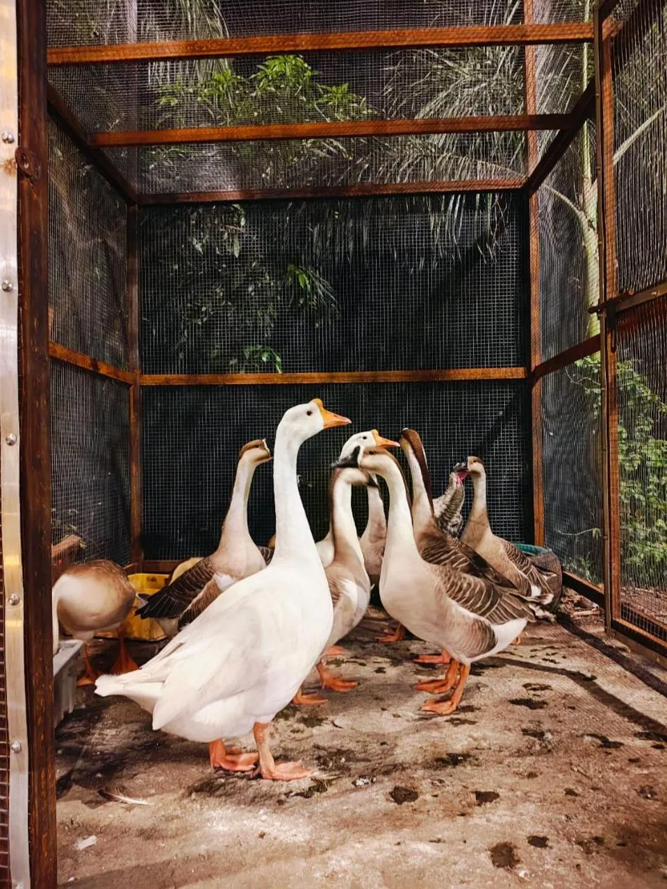Garden in River An Sky Resort