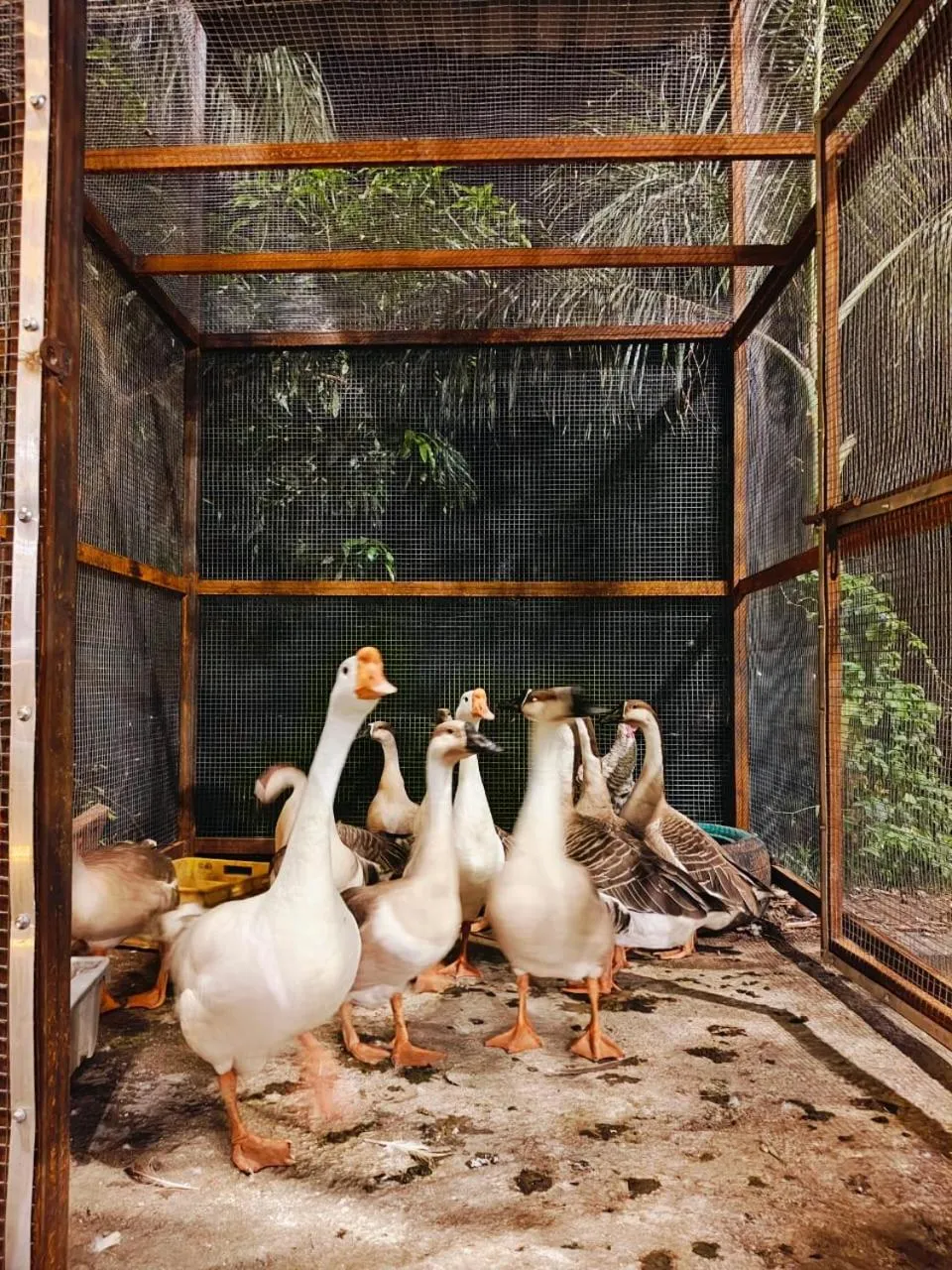 Property building in River An Sky Resort